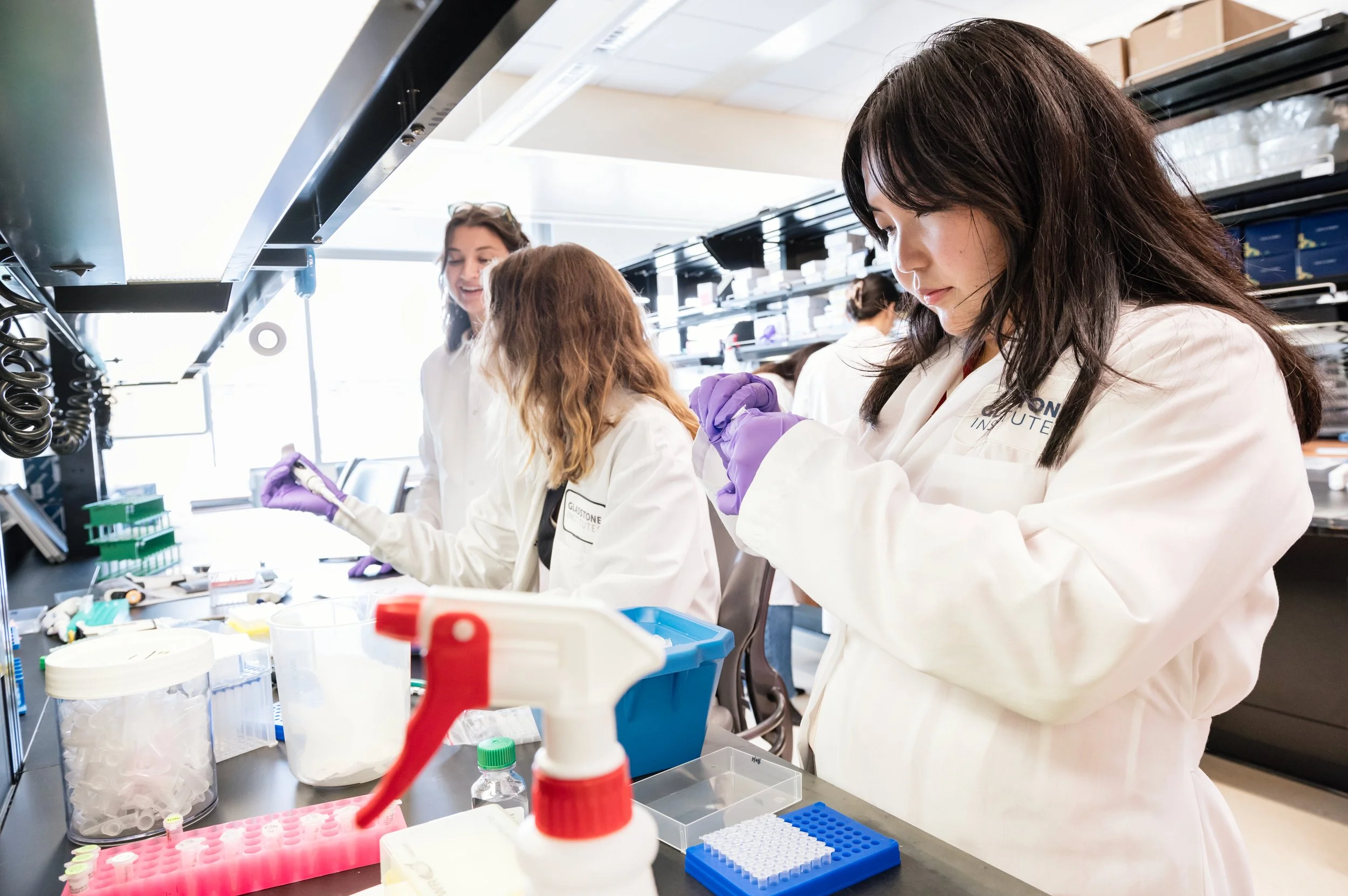 Contact — Hoffmann Lab