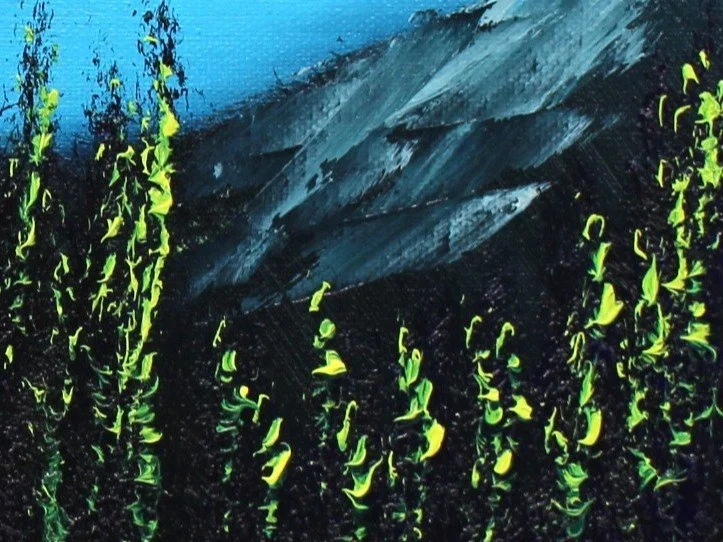 IMG_2762 - Copy (2).JPG