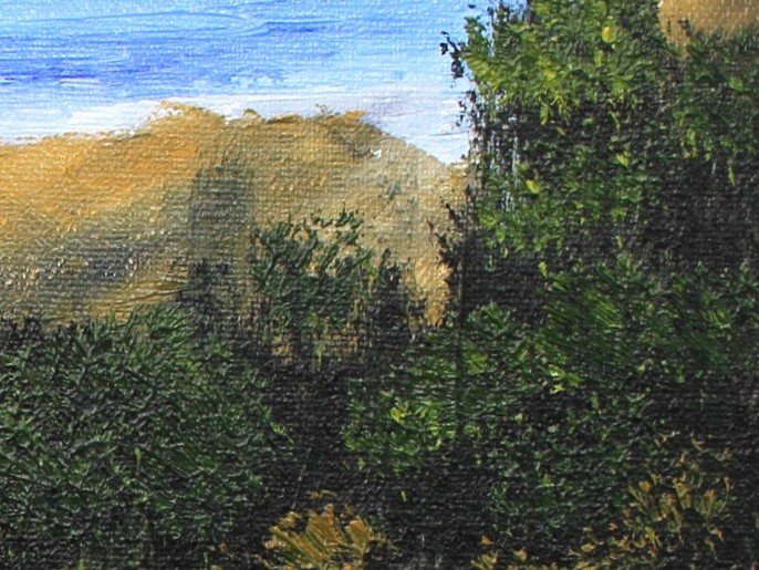 IMG_2763 - Copy (2).JPG