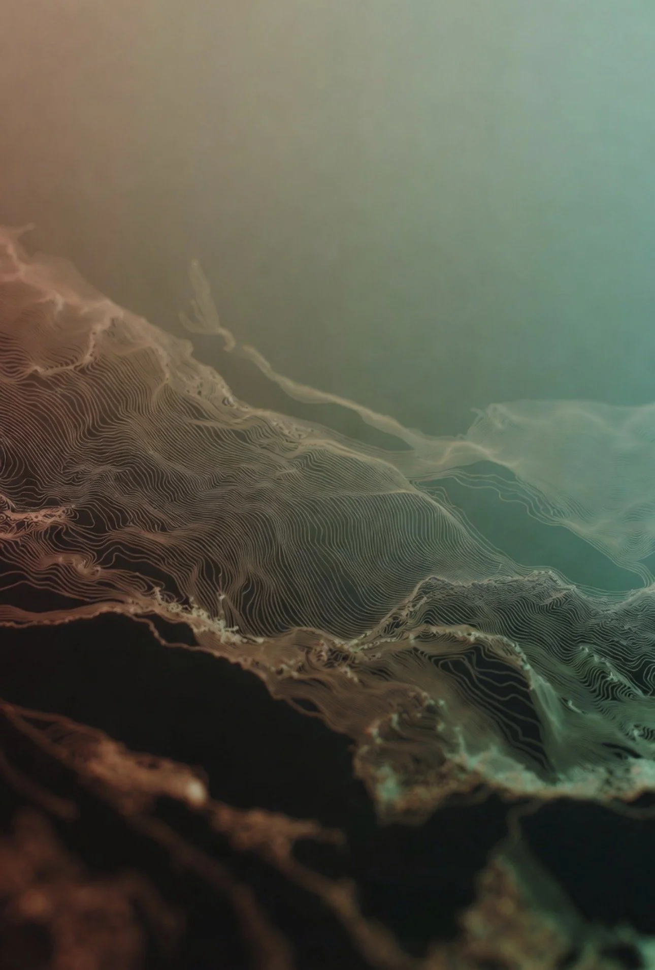 Ecological Psycology of Covid