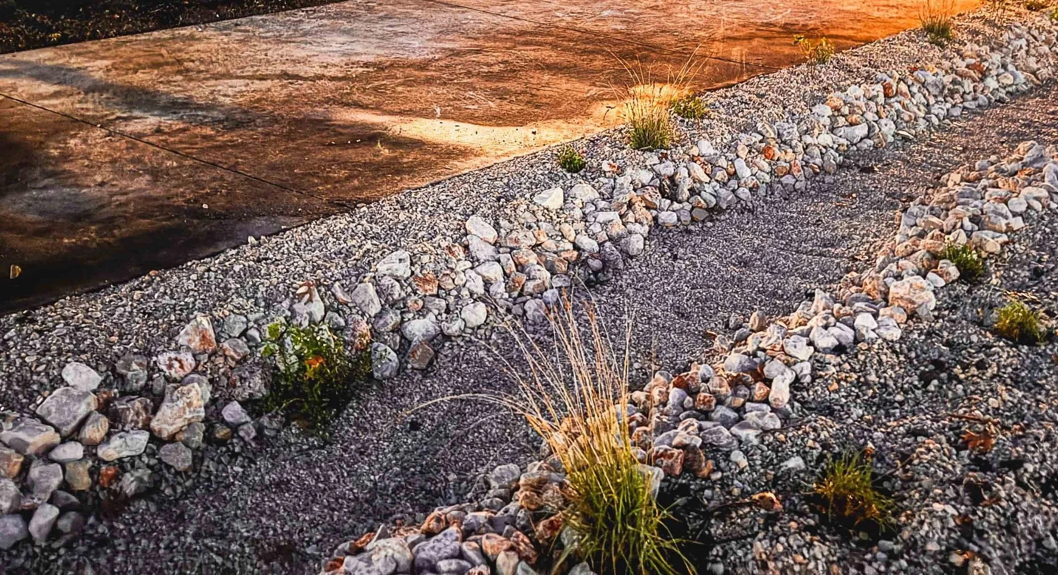 Robinhood St. Bioswale