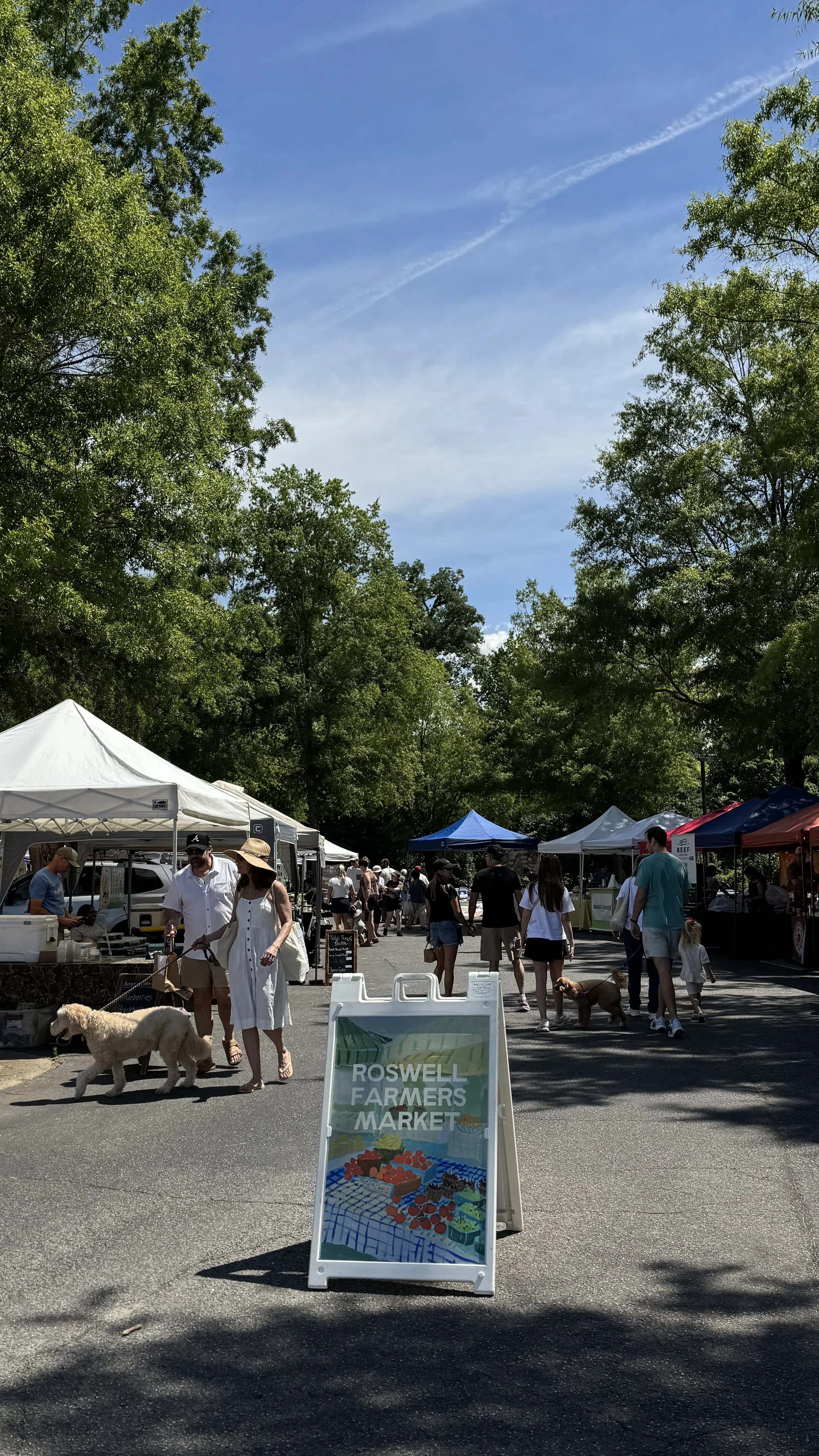 TT Pop-up @ Roswell Farmers Market 