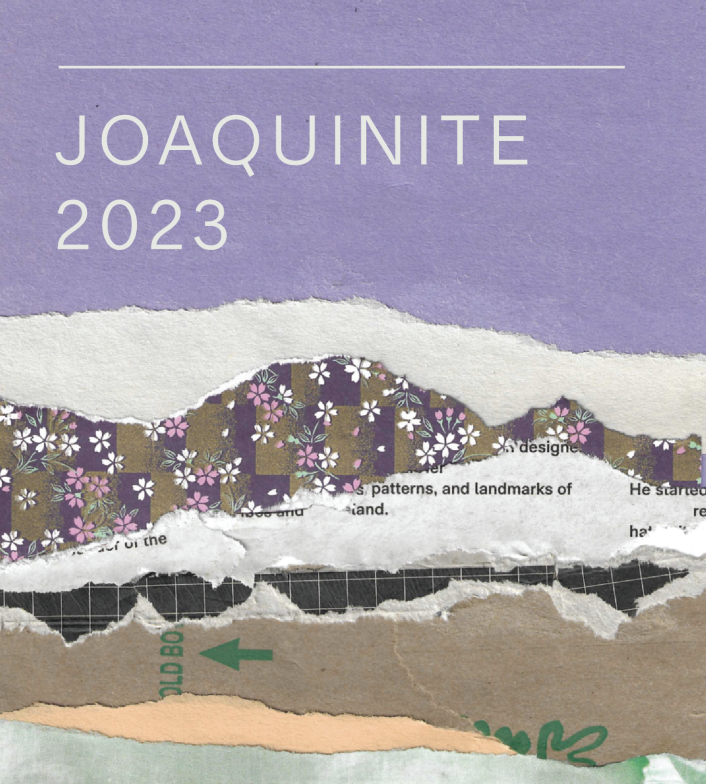 Stirm Wine Co. ‘Joaquinite’ Pinot Noir 2023
