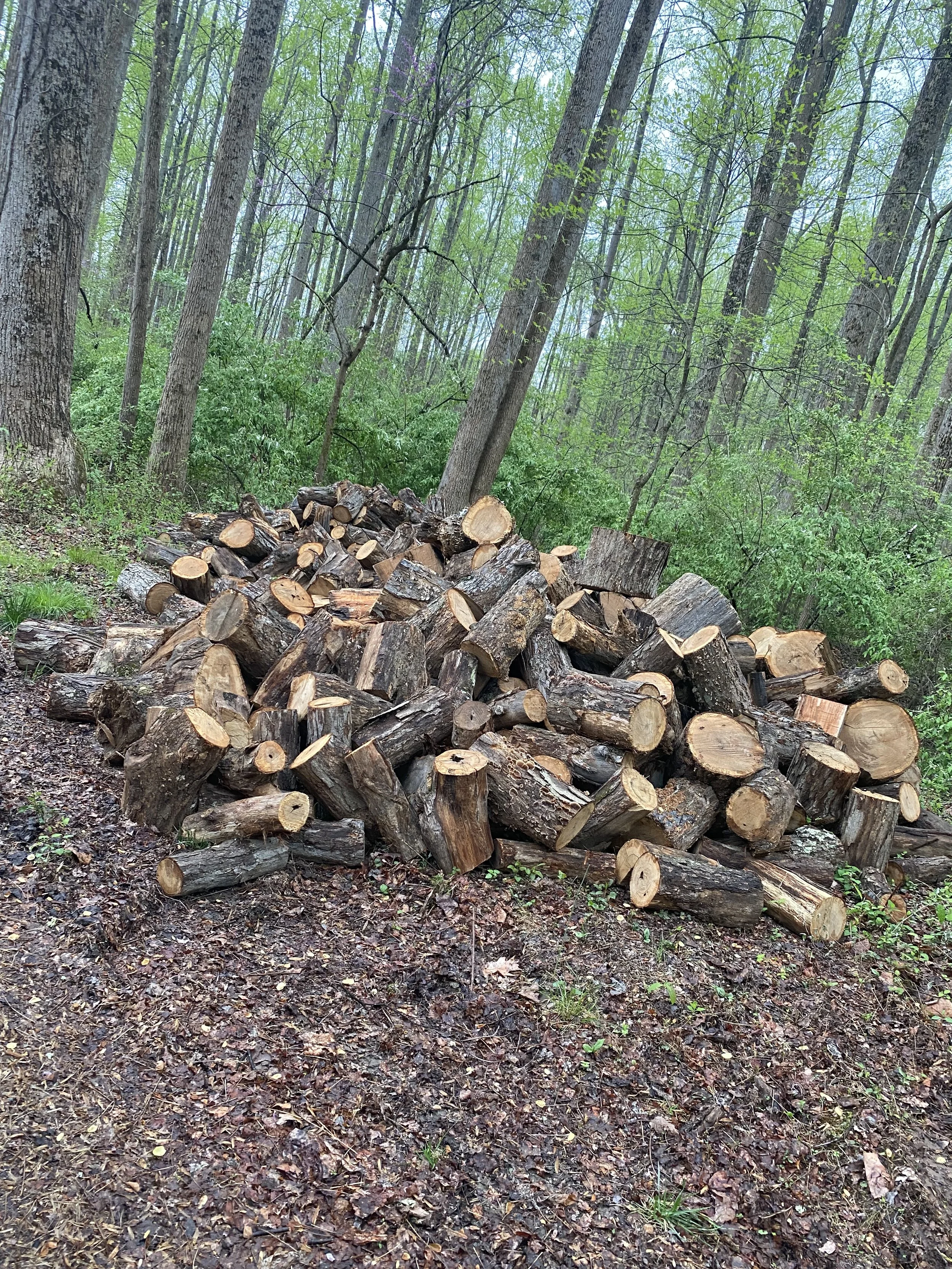 Oranssi previous project