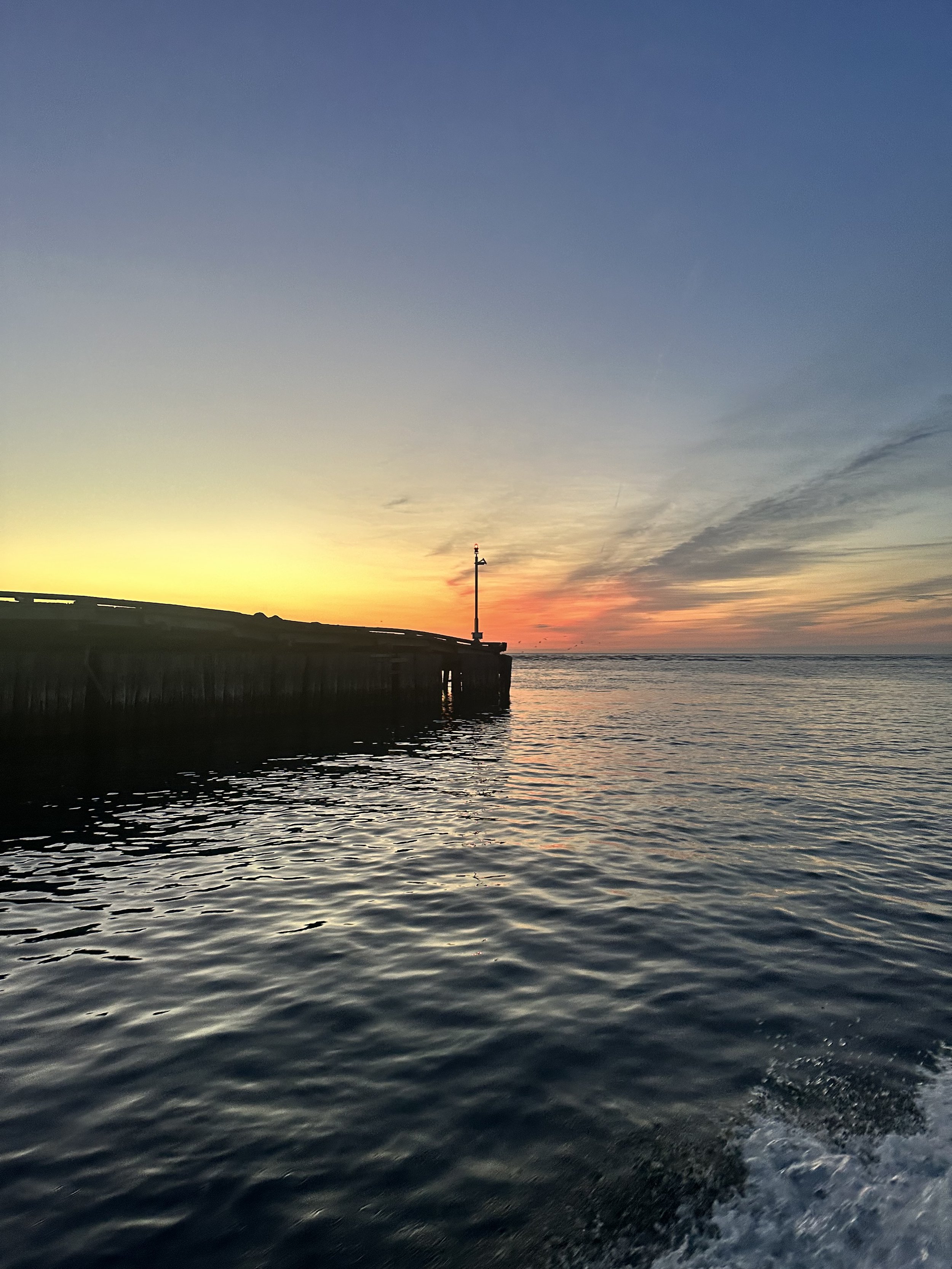 IMG_6310.jpeg