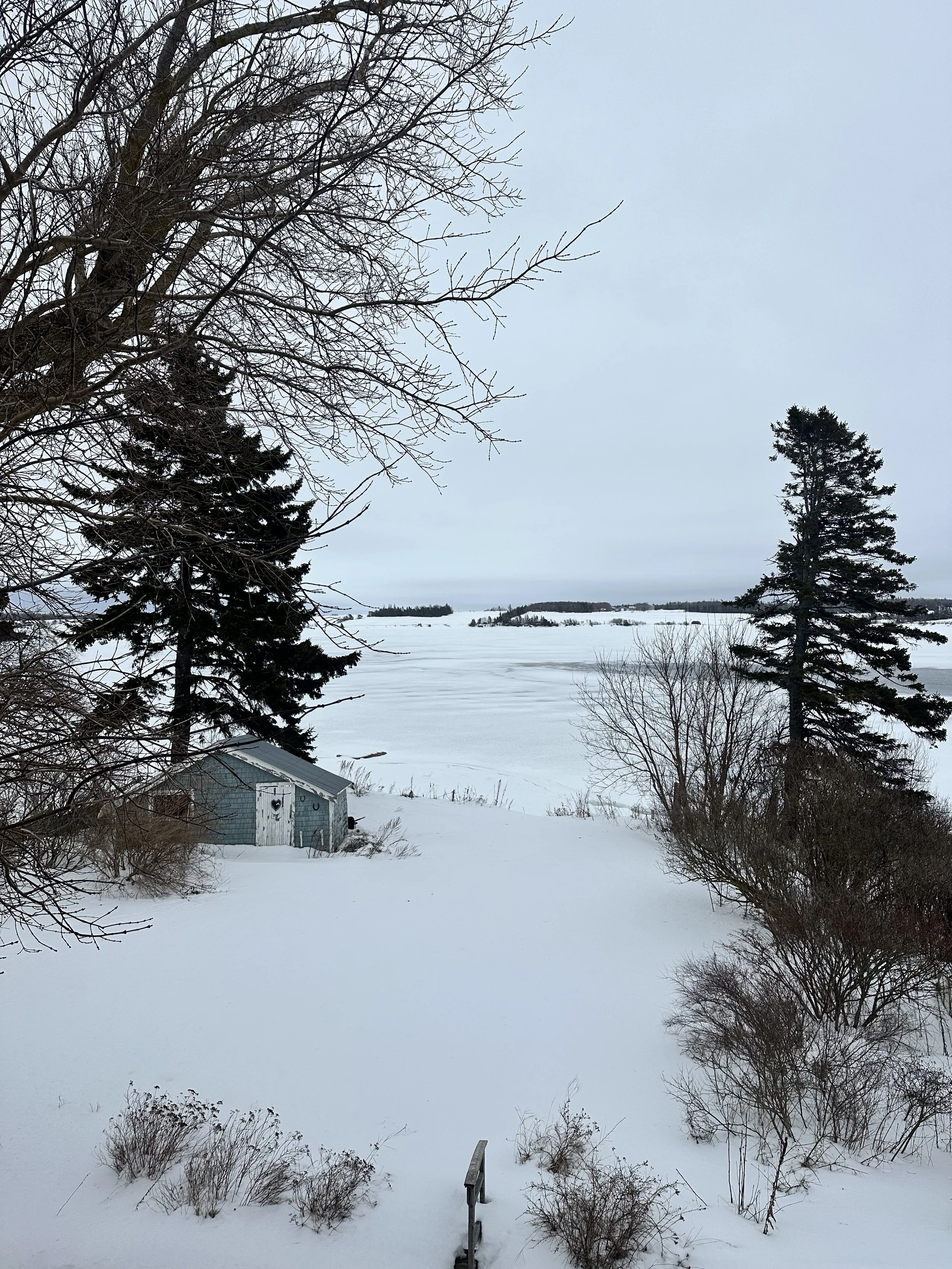 The Midpoint of the Off-Season: Balancing Rest and the Urge to Move Again