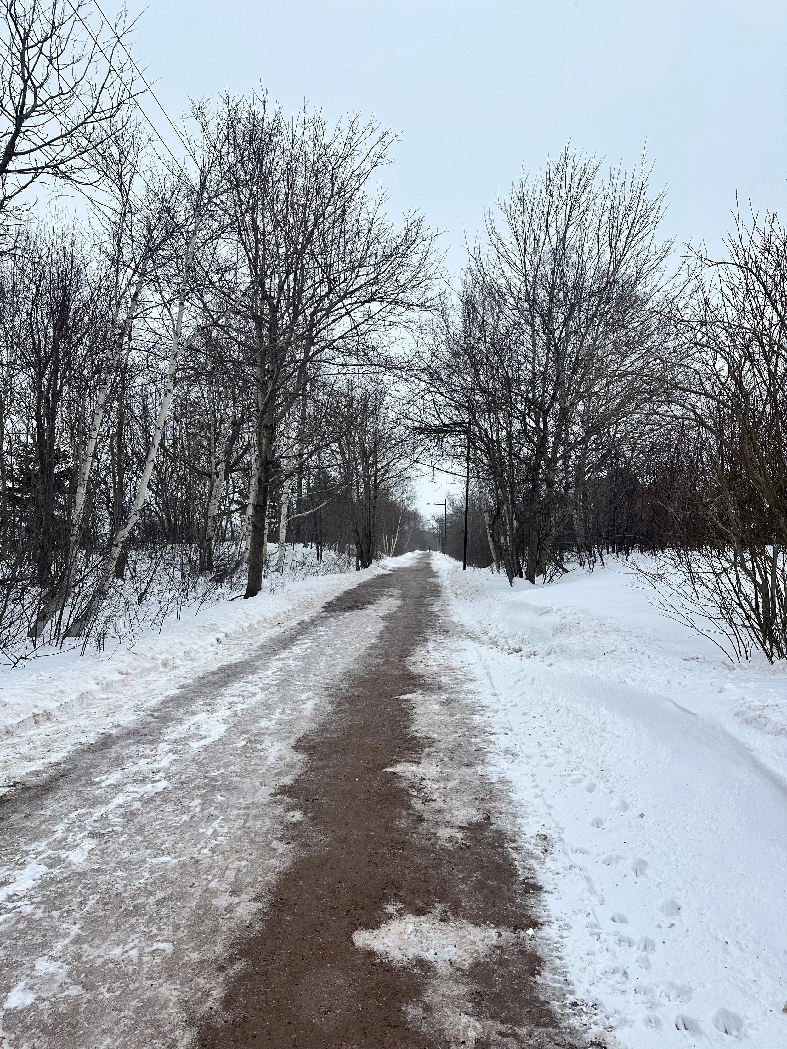 When the World Feels Heavy: How to Stay Grounded Without Shutting Down