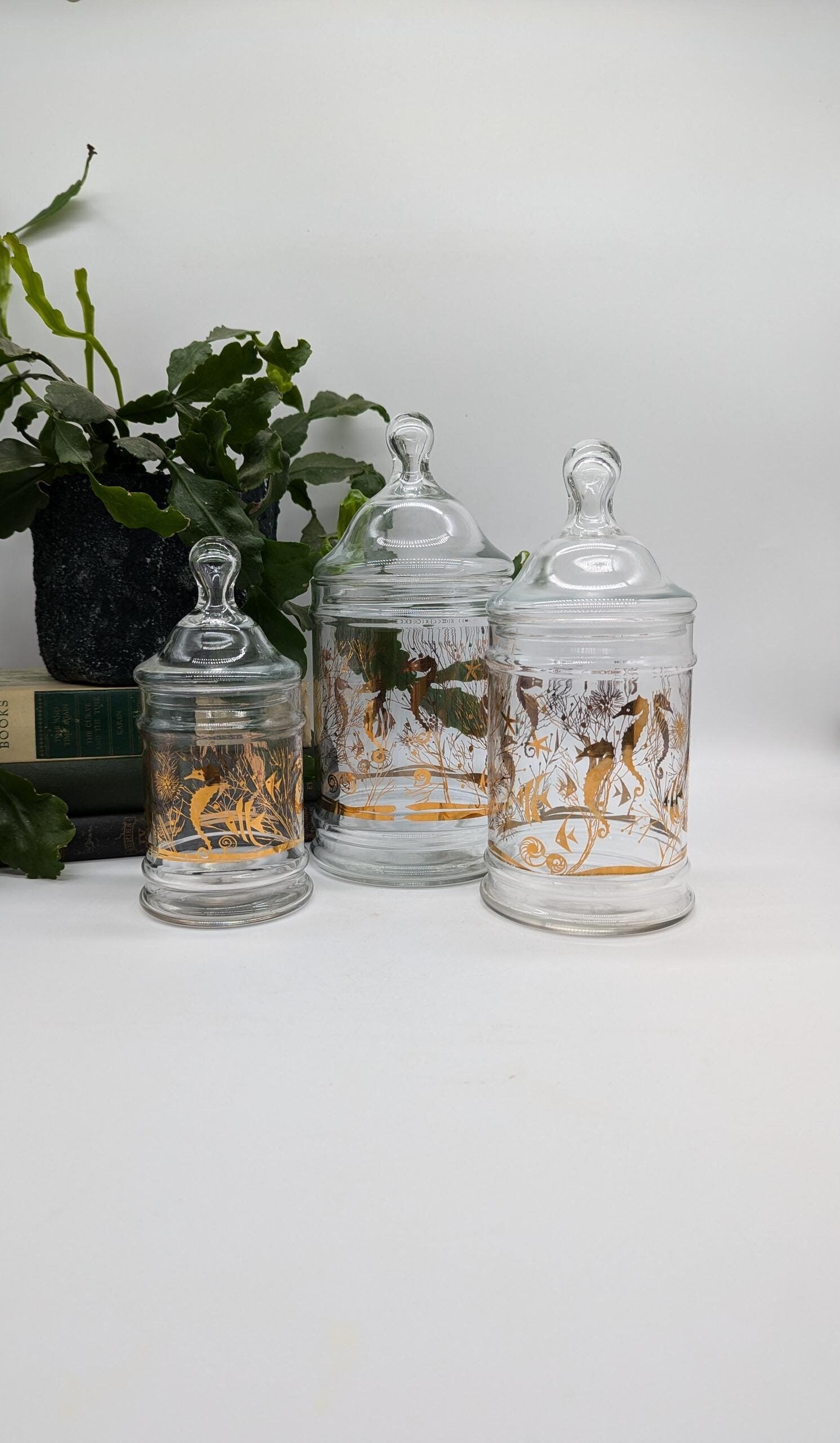 https://i.etsystatic.com/37121269/r/il/d87c29/6427557107/il_fullxfull.6427557107_88aj.jpg