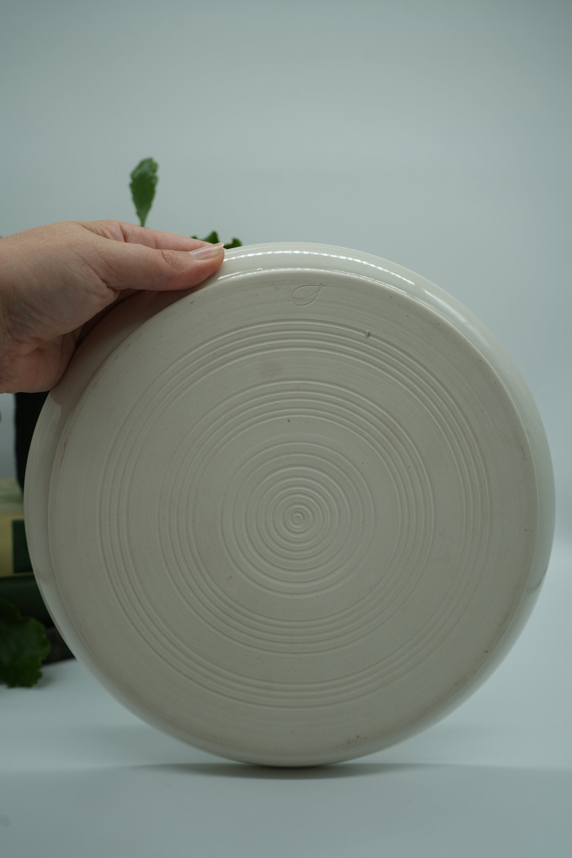 https://i.etsystatic.com/37121269/r/il/f673b3/5824446315/il_fullxfull.5824446315_es2z.jpg