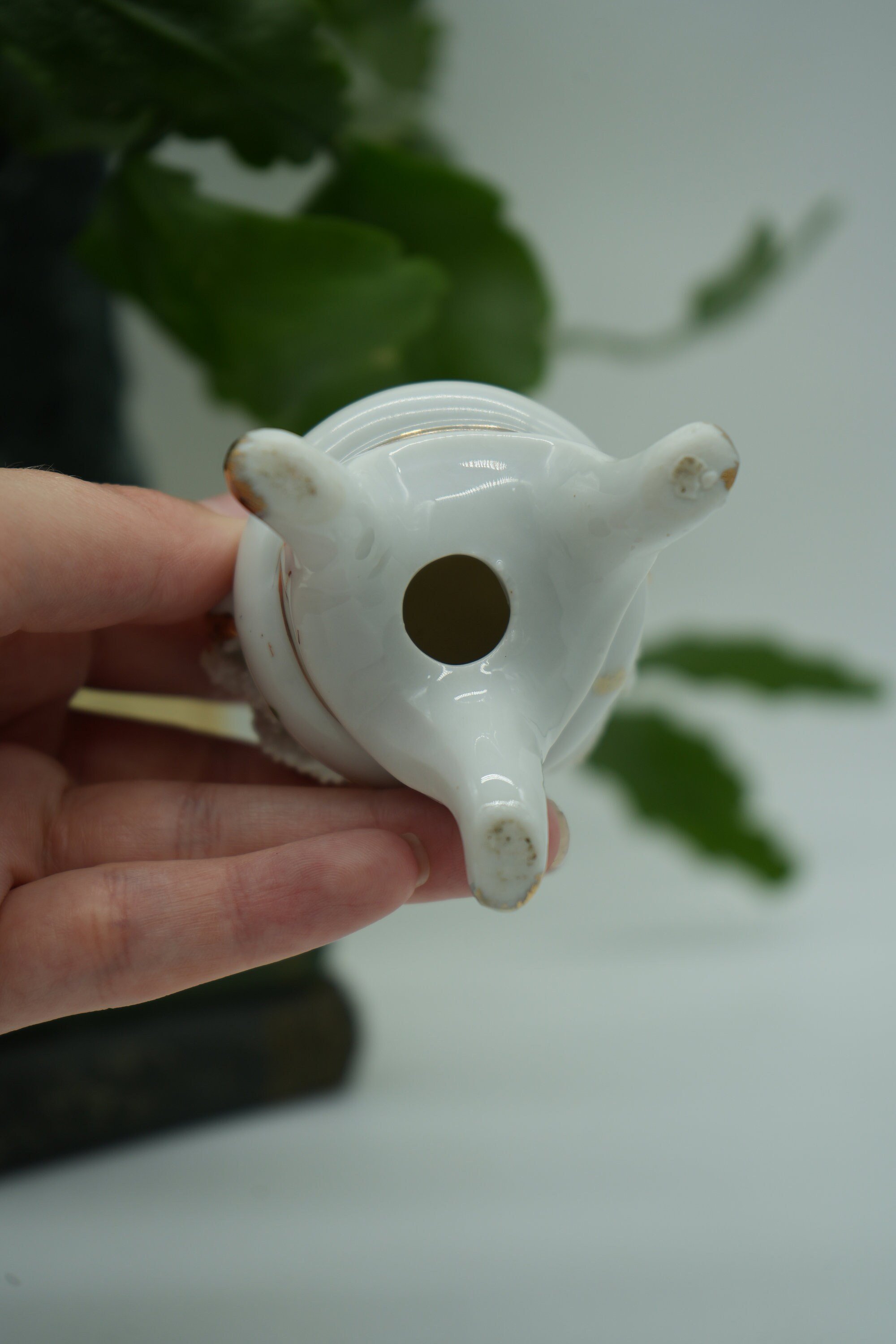 https://i.etsystatic.com/37121269/r/il/cc7748/5776481876/il_fullxfull.5776481876_t45o.jpg