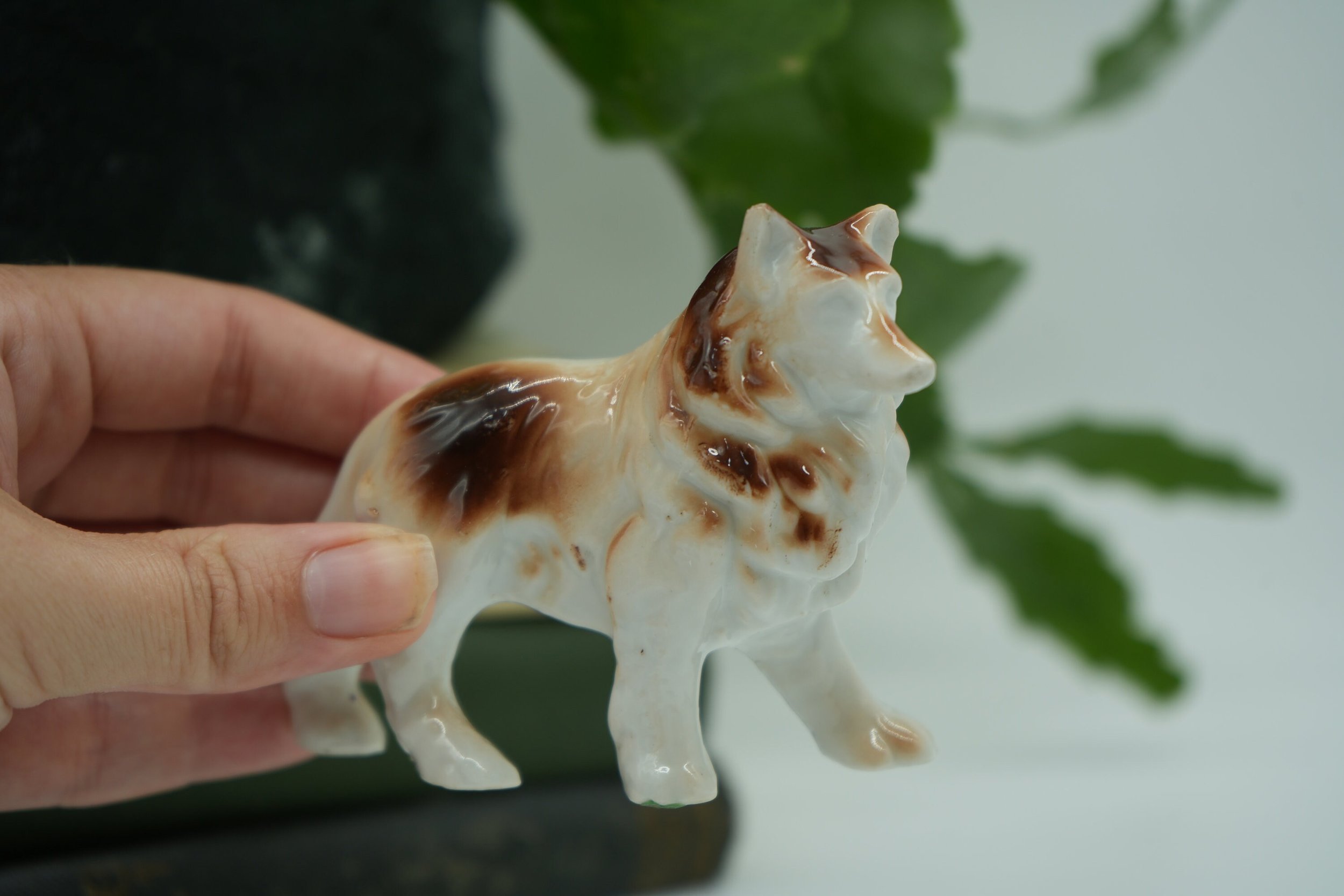 https://i.etsystatic.com/37121269/r/il/545489/5776470030/il_fullxfull.5776470030_tjkb.jpg