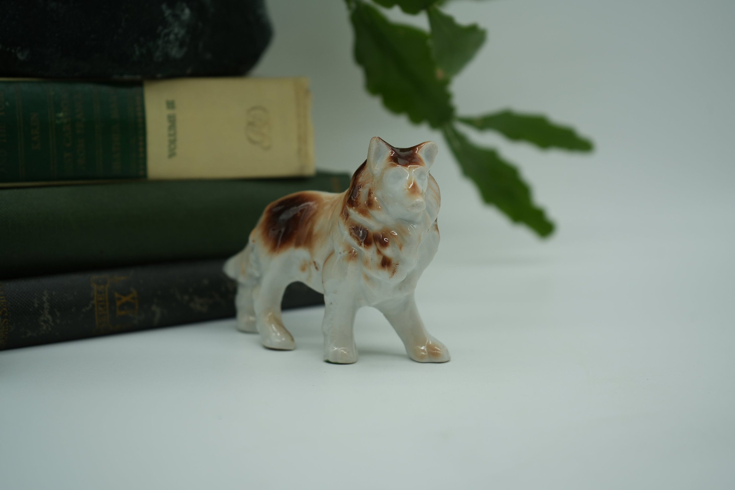 https://i.etsystatic.com/37121269/r/il/5cdb82/5824543621/il_fullxfull.5824543621_fk5f.jpg