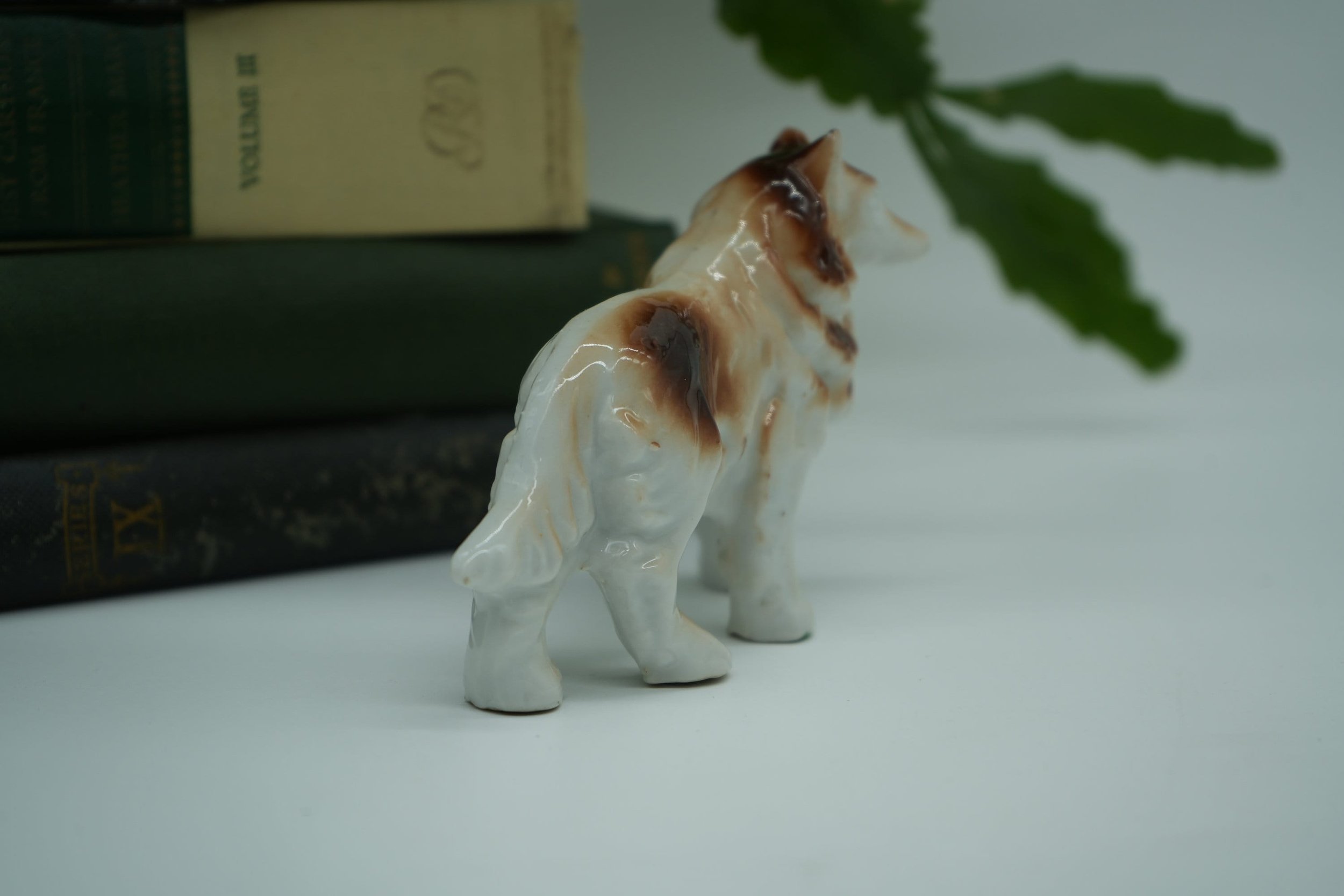 https://i.etsystatic.com/37121269/r/il/a66aab/5776470124/il_fullxfull.5776470124_p8qk.jpg