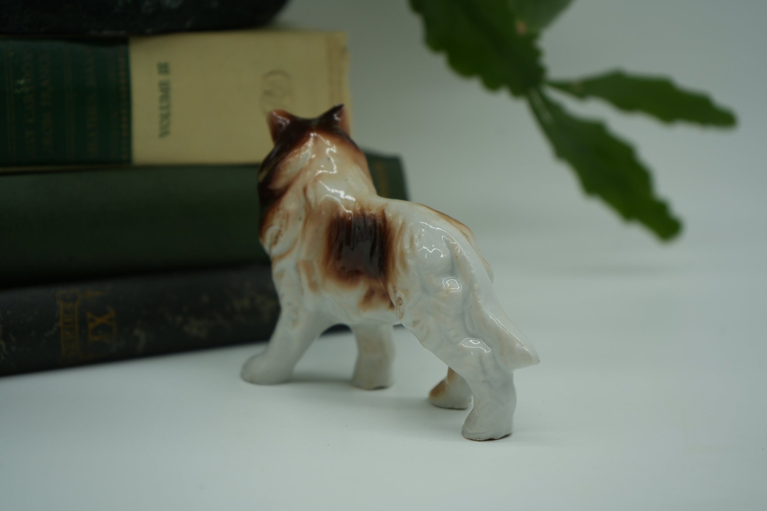 https://i.etsystatic.com/37121269/r/il/25a197/5776469992/il_fullxfull.5776469992_oxtn.jpg