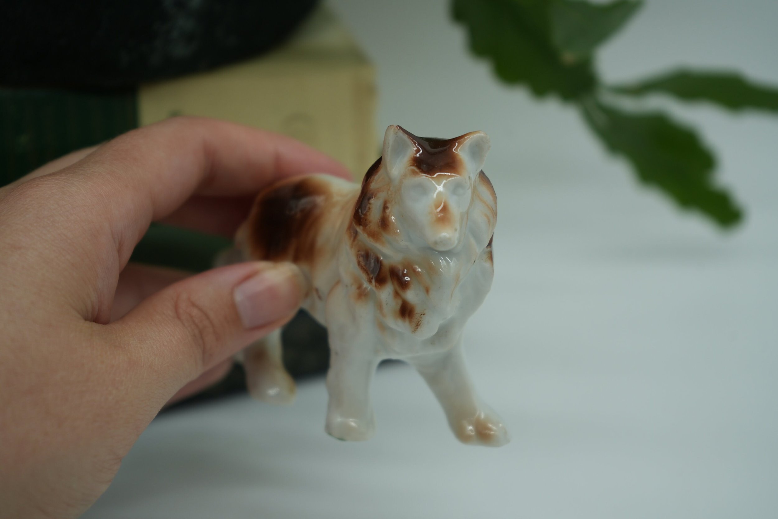https://i.etsystatic.com/37121269/r/il/6741fa/5776475730/il_fullxfull.5776475730_3x67.jpg