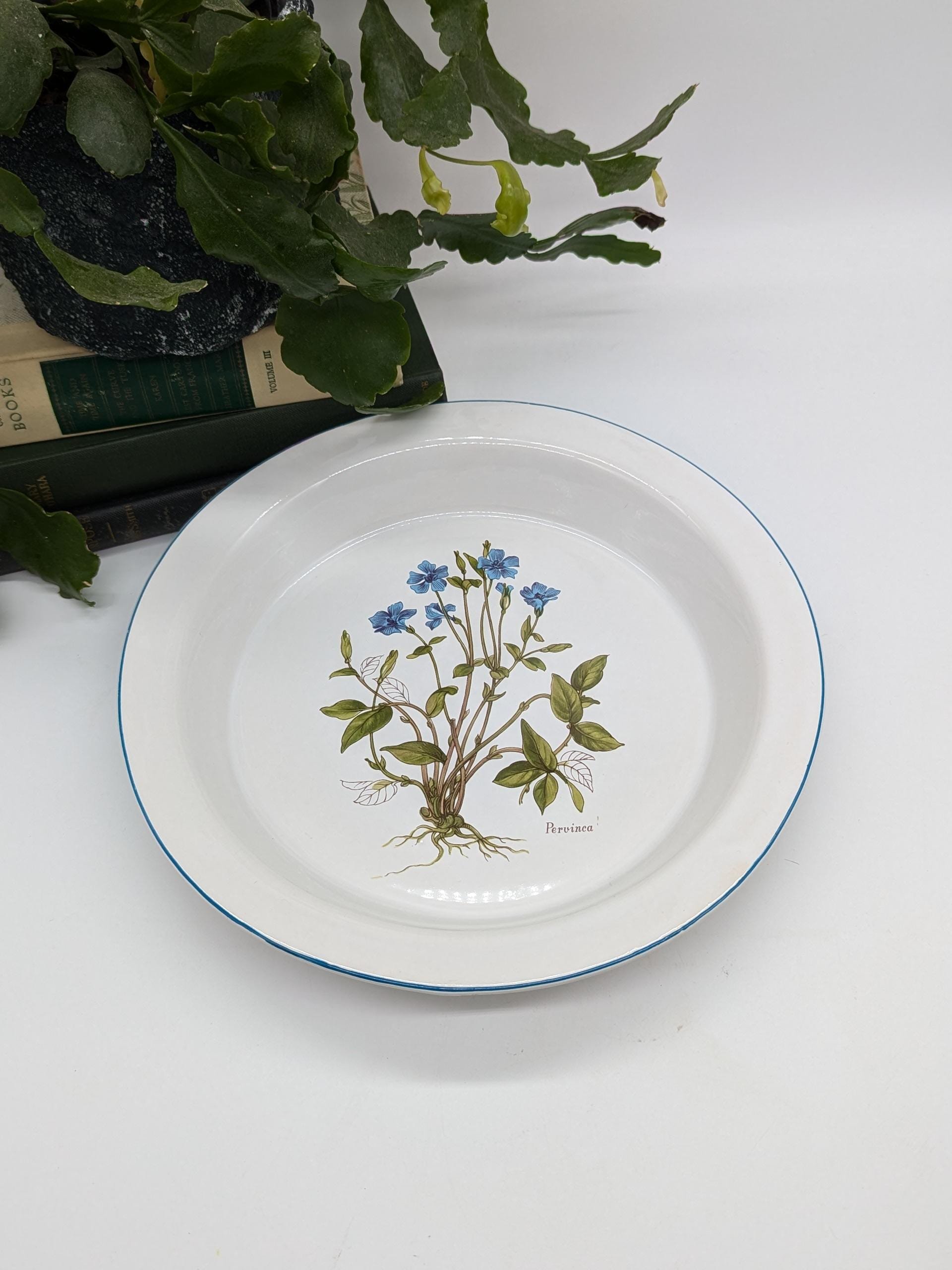 https://i.etsystatic.com/37121269/r/il/8d5e36/6353656644/il_fullxfull.6353656644_ts1x.jpg
