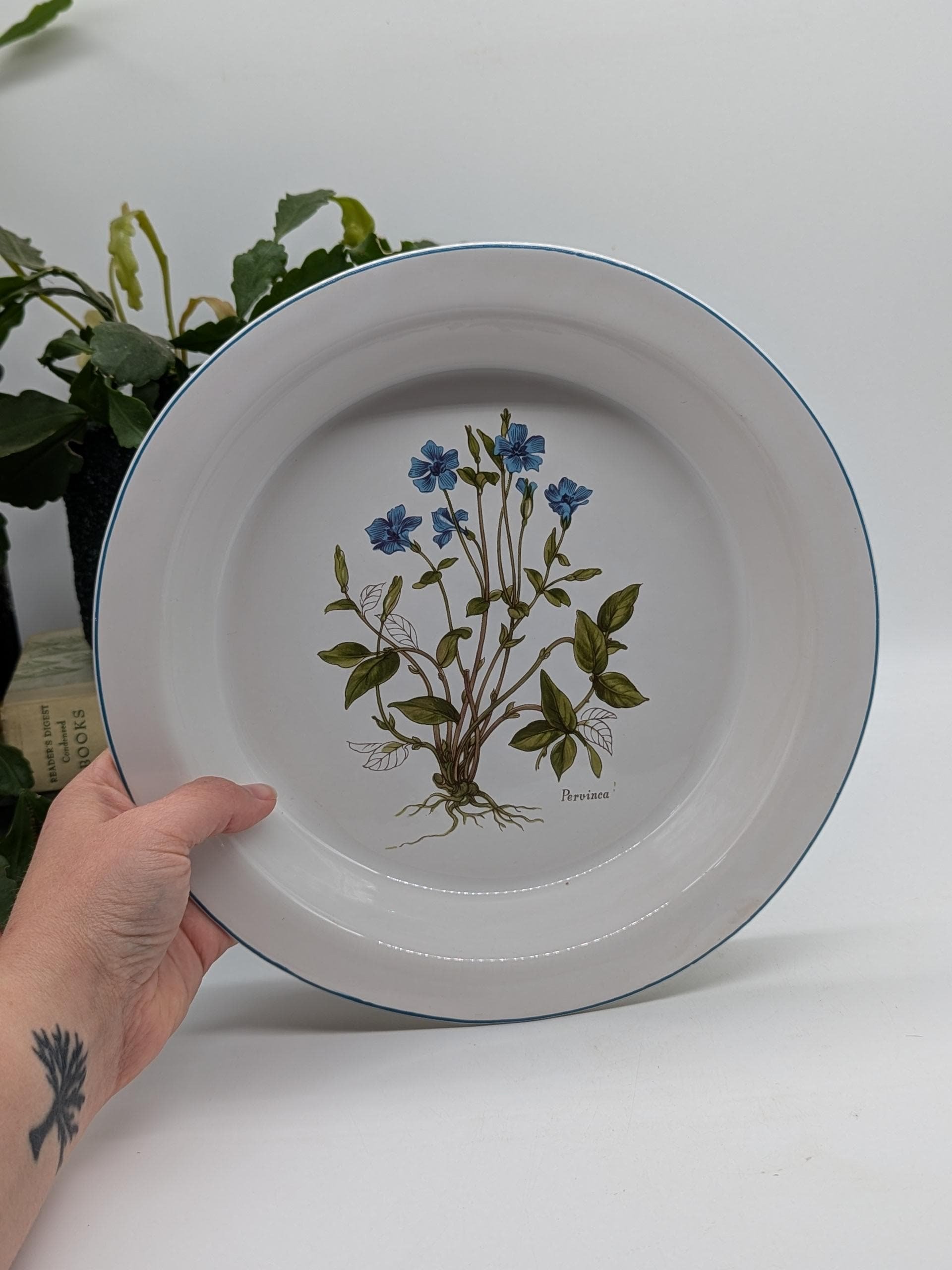 https://i.etsystatic.com/37121269/r/il/04b25f/6401743149/il_fullxfull.6401743149_qm49.jpg