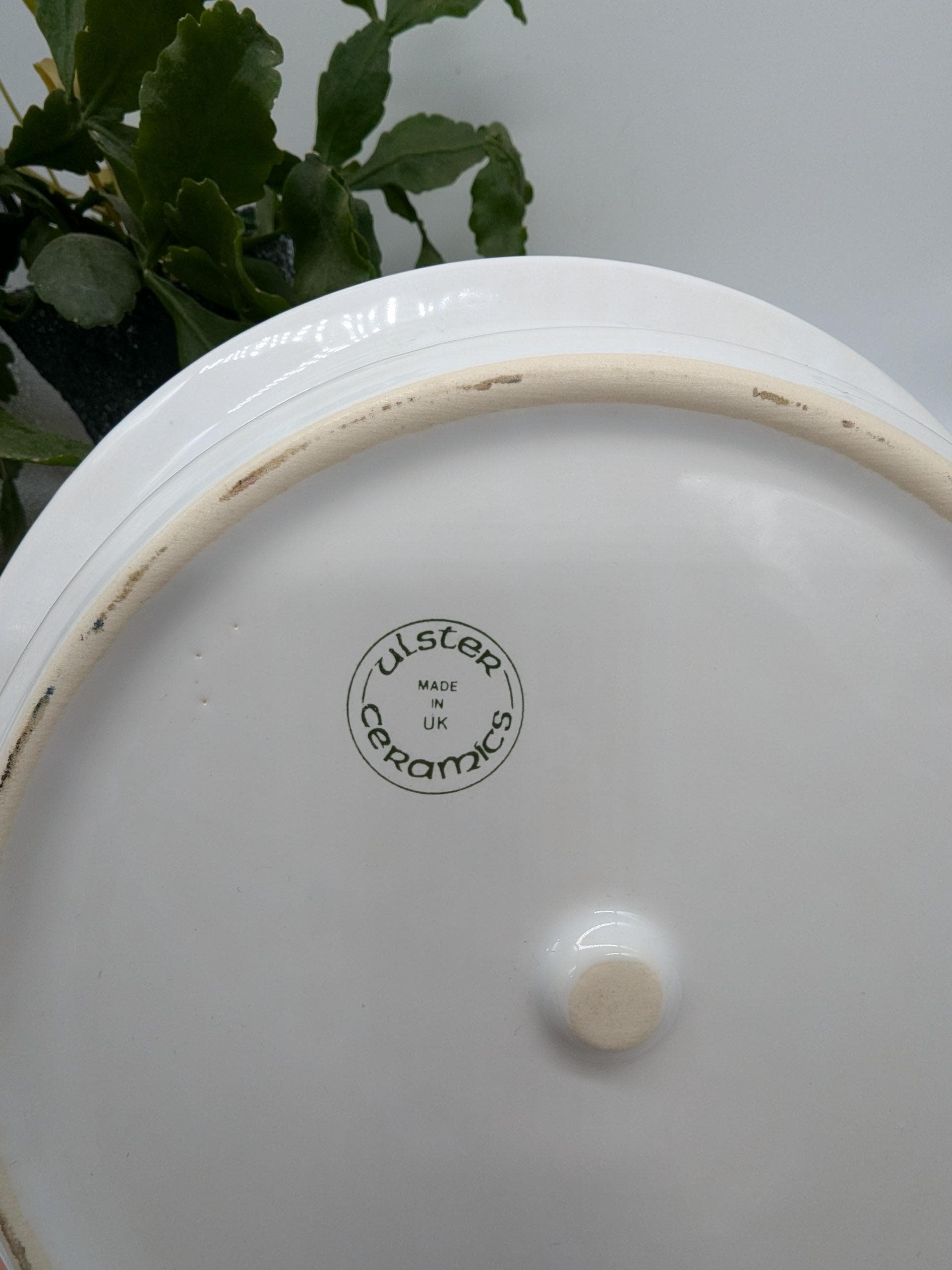https://i.etsystatic.com/37121269/r/il/37bb00/6401743085/il_fullxfull.6401743085_s25u.jpg