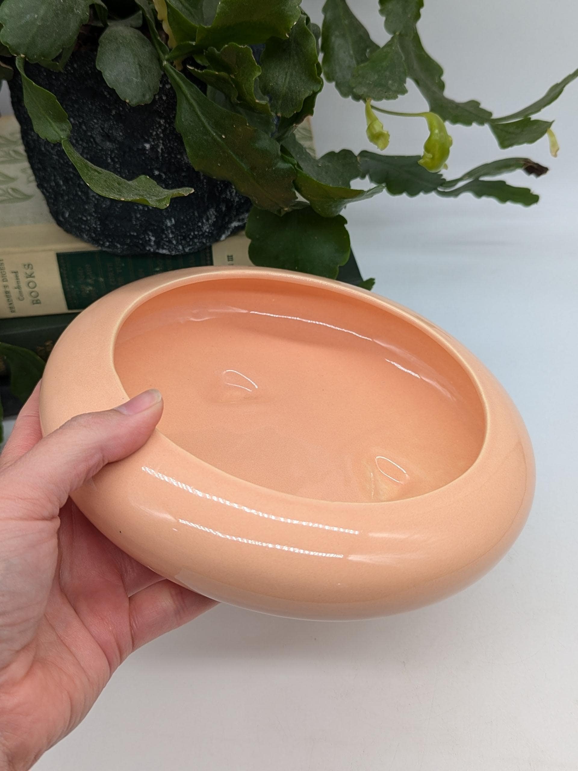 https://i.etsystatic.com/37121269/r/il/6b12ac/6401724255/il_fullxfull.6401724255_17f7.jpg