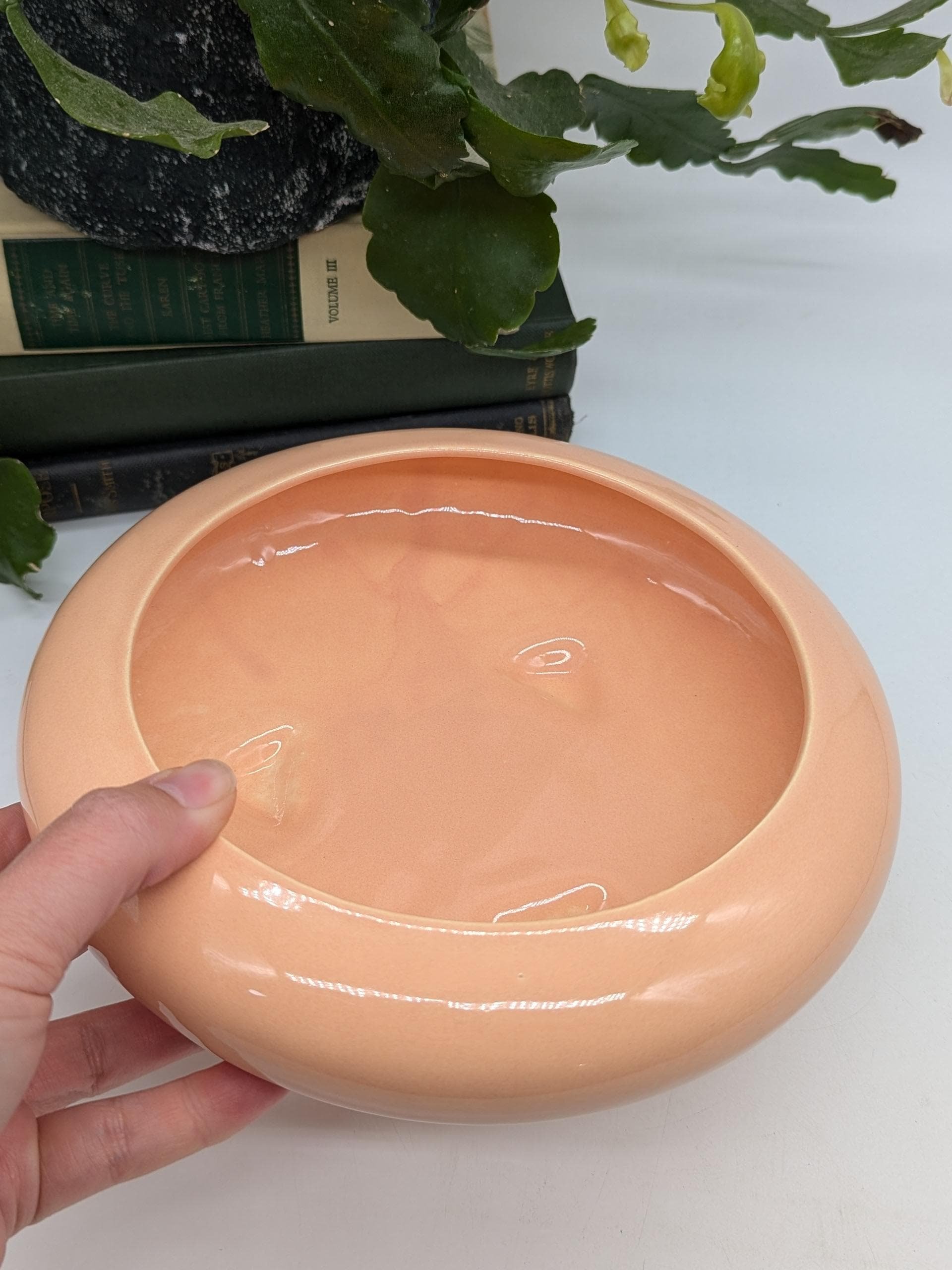 https://i.etsystatic.com/37121269/r/il/e2c260/6353637980/il_fullxfull.6353637980_igag.jpg