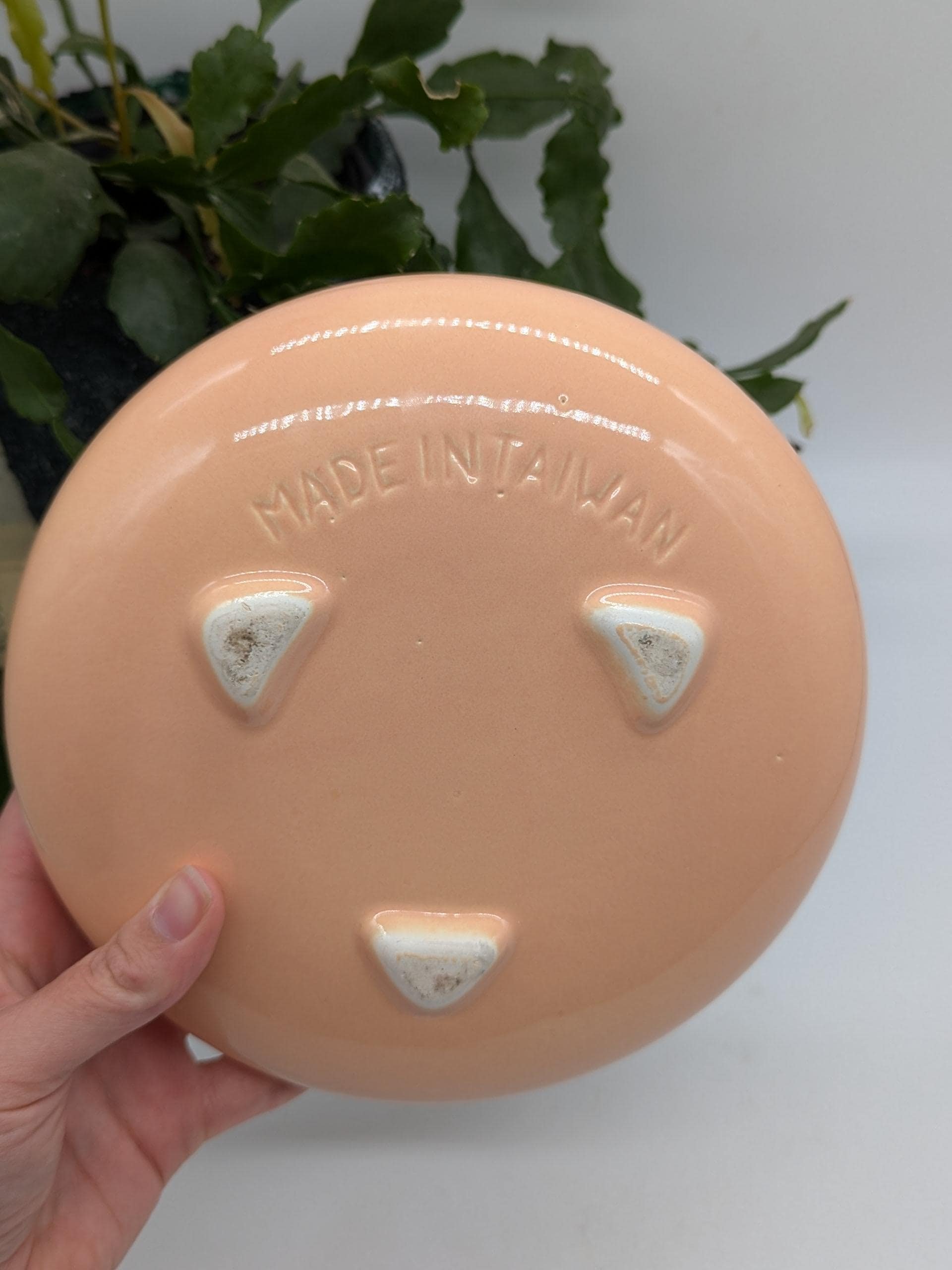 https://i.etsystatic.com/37121269/r/il/522e05/6401724147/il_fullxfull.6401724147_7e4z.jpg
