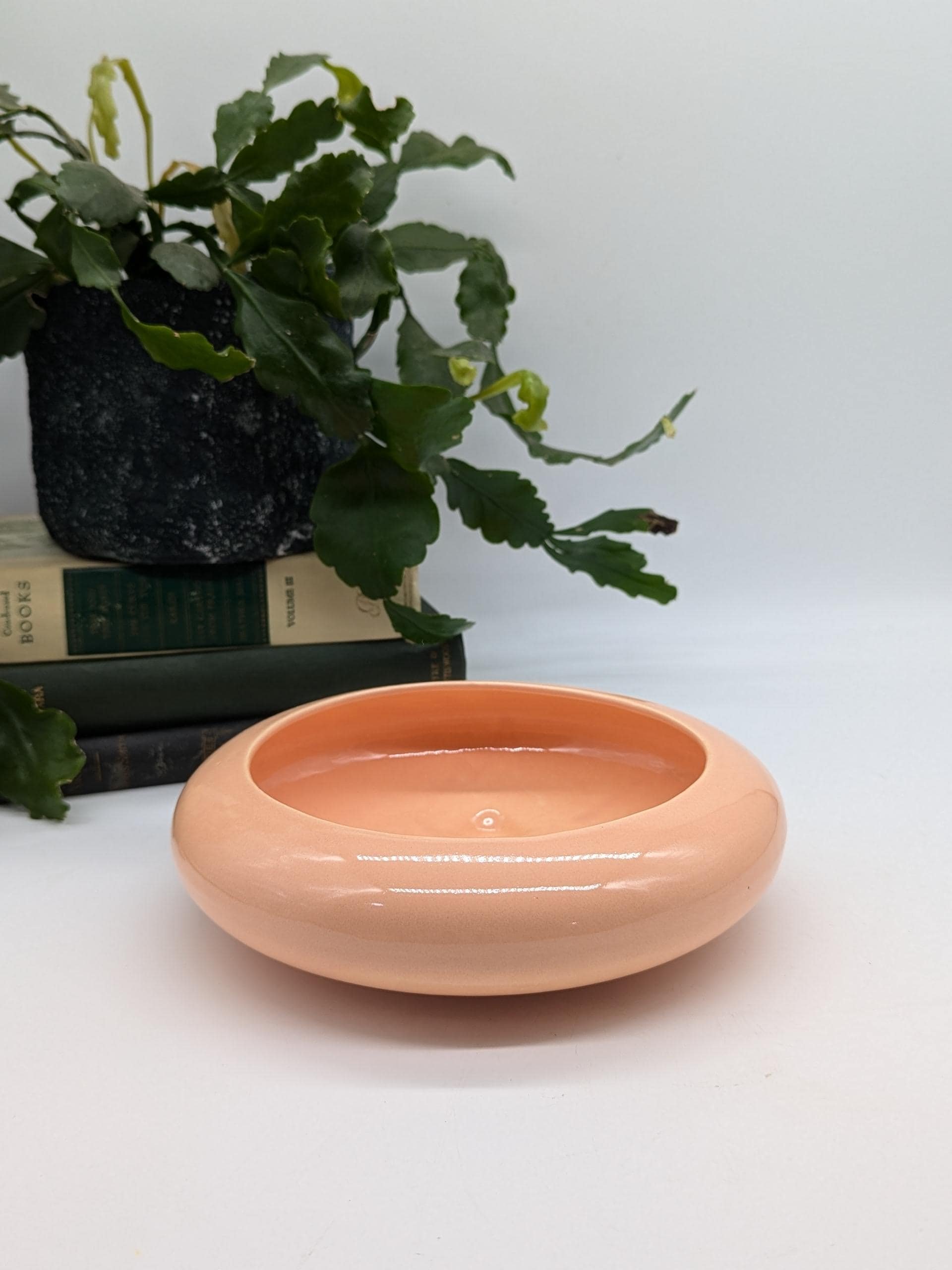 https://i.etsystatic.com/37121269/r/il/adfb02/6353637864/il_fullxfull.6353637864_fl7b.jpg