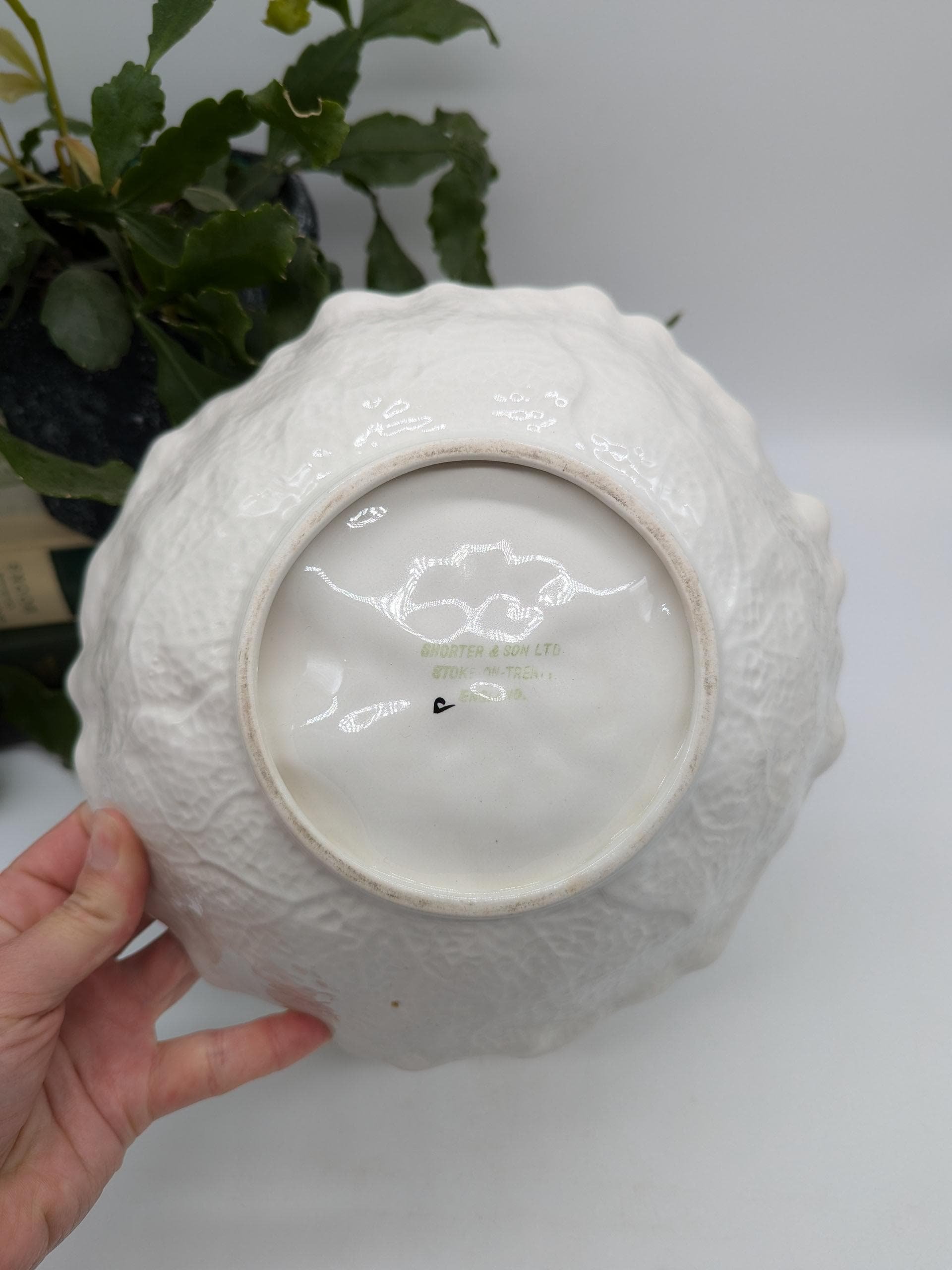 https://i.etsystatic.com/37121269/r/il/7b4a2a/6377867873/il_fullxfull.6377867873_n4pe.jpg
