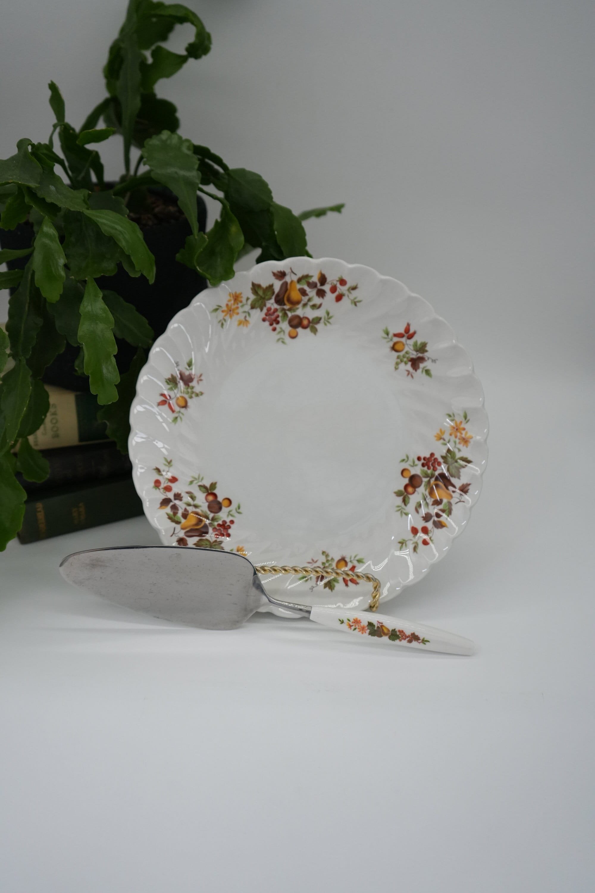 https://i.etsystatic.com/37121269/r/il/ce3927/5165935266/il_fullxfull.5165935266_pcfn.jpg