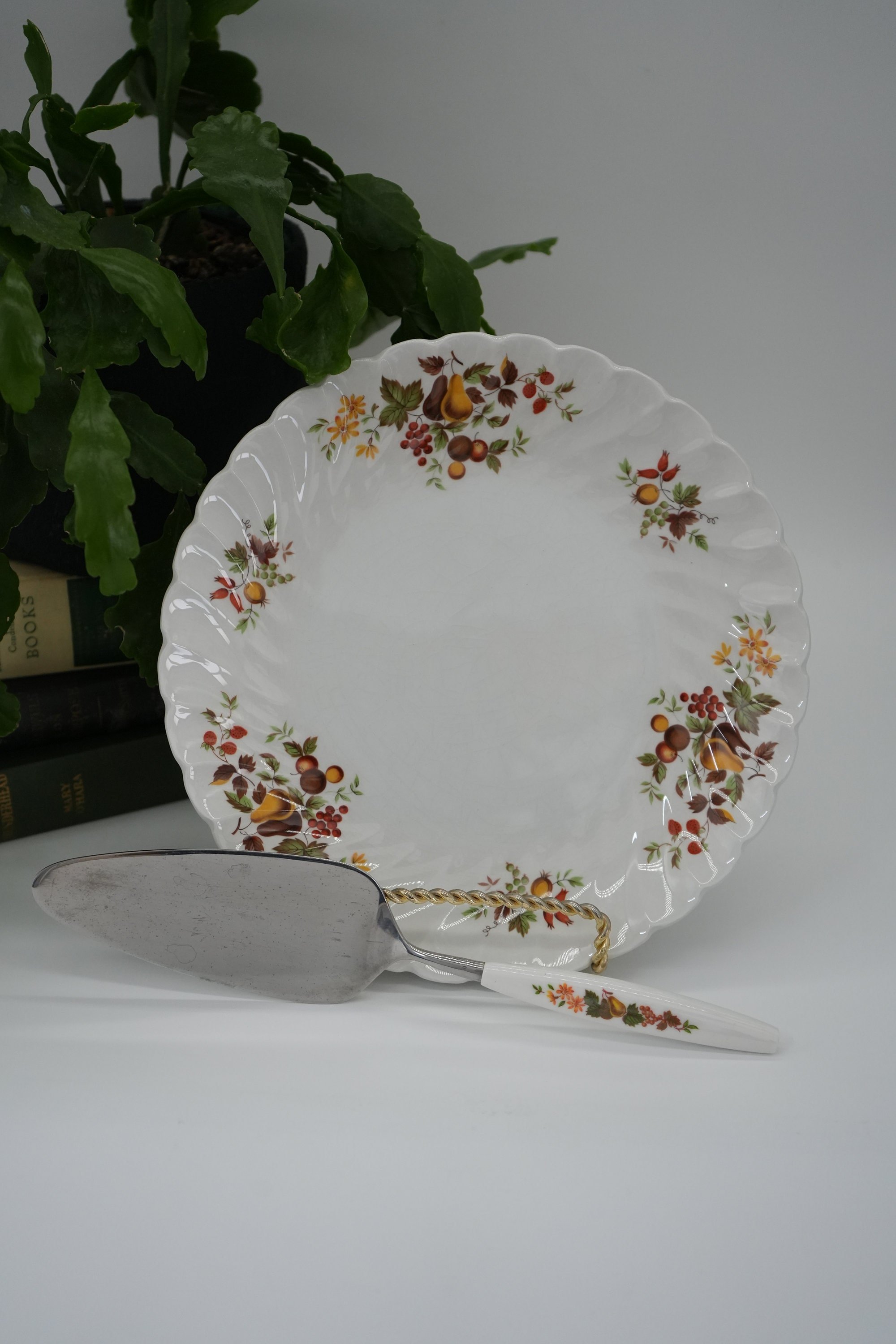 https://i.etsystatic.com/37121269/r/il/385a05/5214165463/il_fullxfull.5214165463_46dh.jpg
