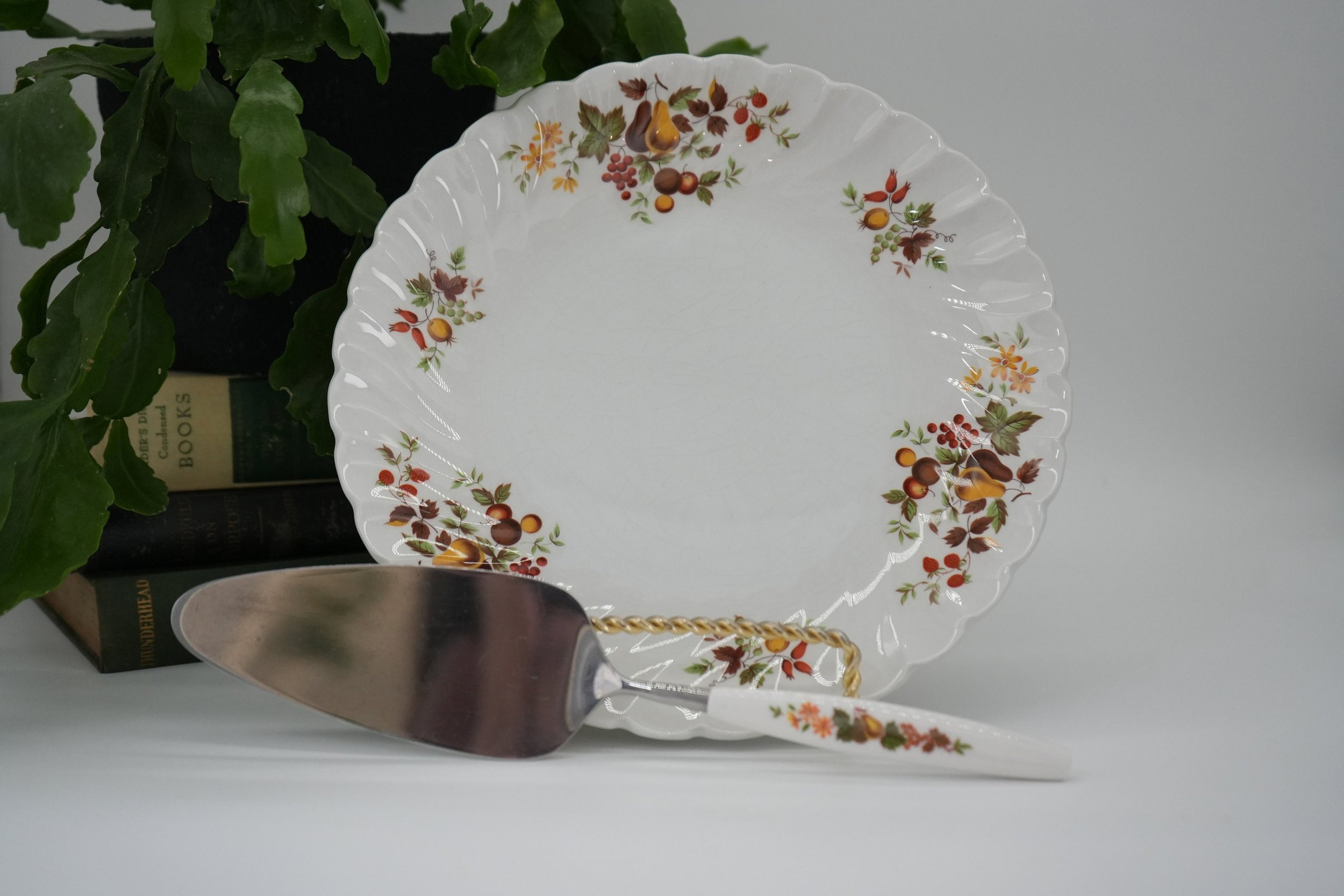 https://i.etsystatic.com/37121269/r/il/685272/5165934212/il_fullxfull.5165934212_43v2.jpg