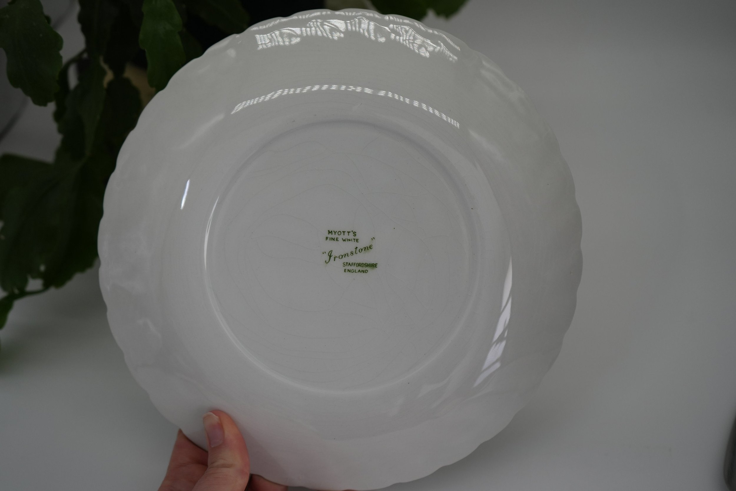 https://i.etsystatic.com/37121269/r/il/5086a3/5214165745/il_fullxfull.5214165745_8t5u.jpg