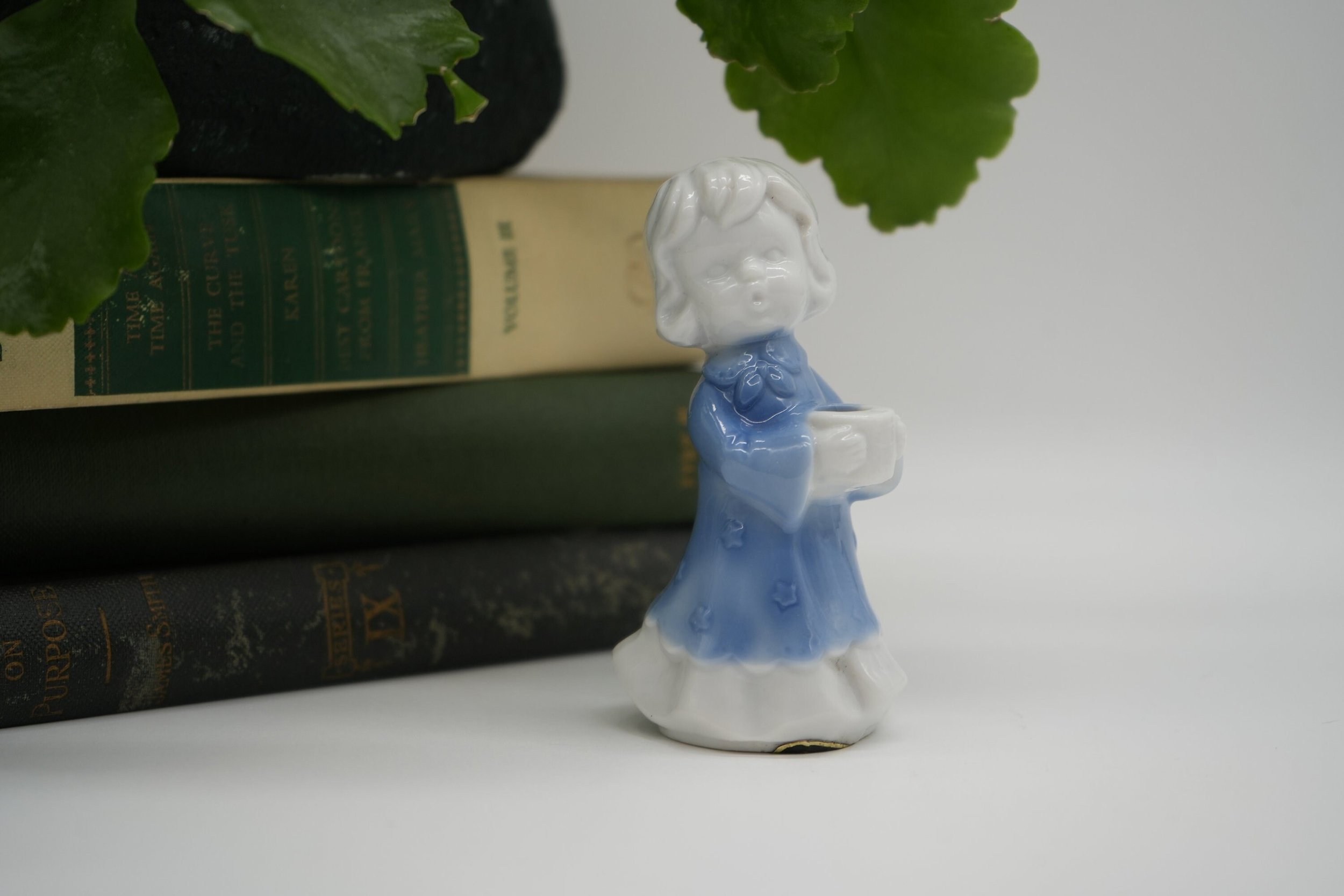 https://i.etsystatic.com/37121269/r/il/4ff795/5562534470/il_fullxfull.5562534470_3u61.jpg