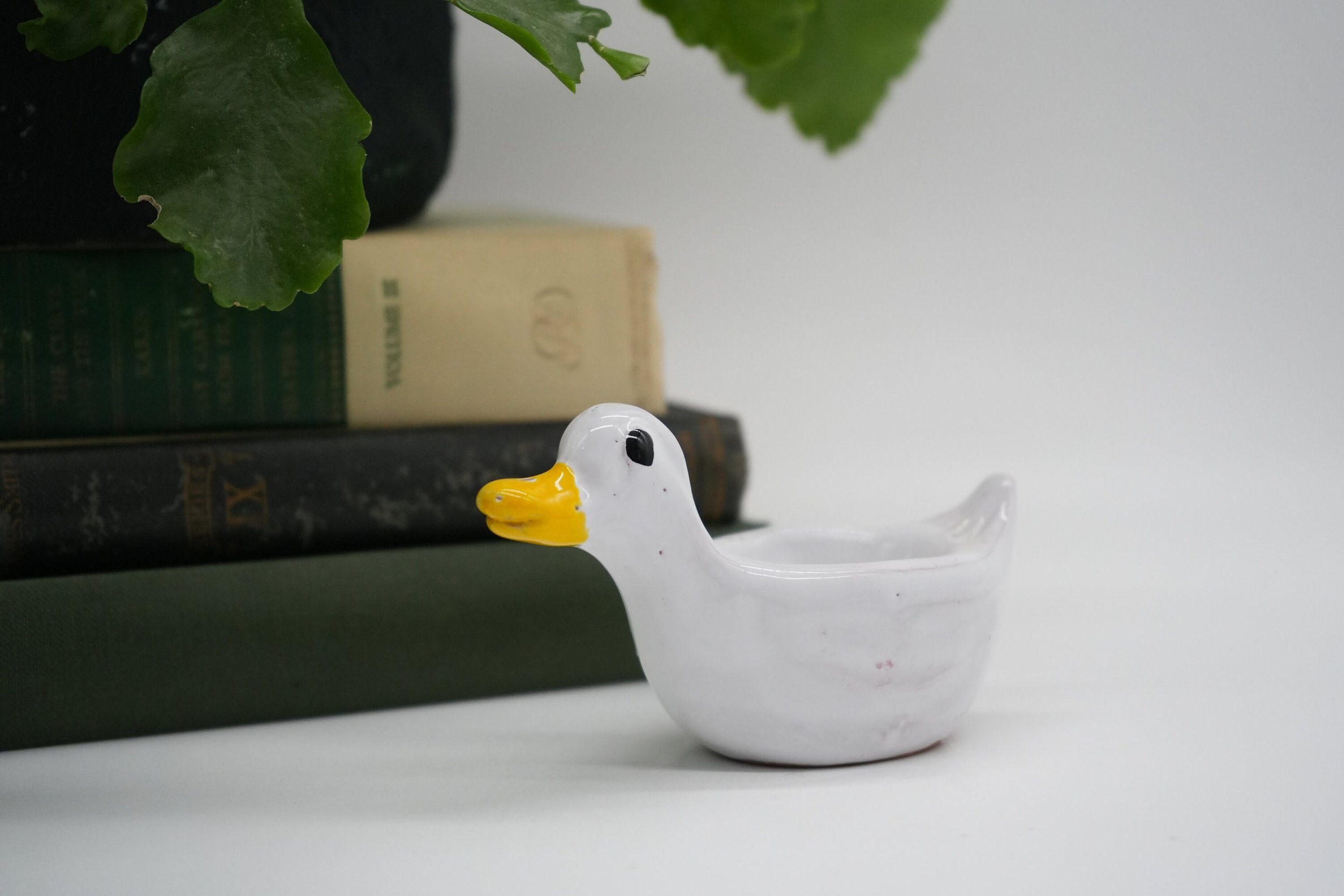 https://i.etsystatic.com/37121269/r/il/01747b/5313377270/il_fullxfull.5313377270_l2eo.jpg