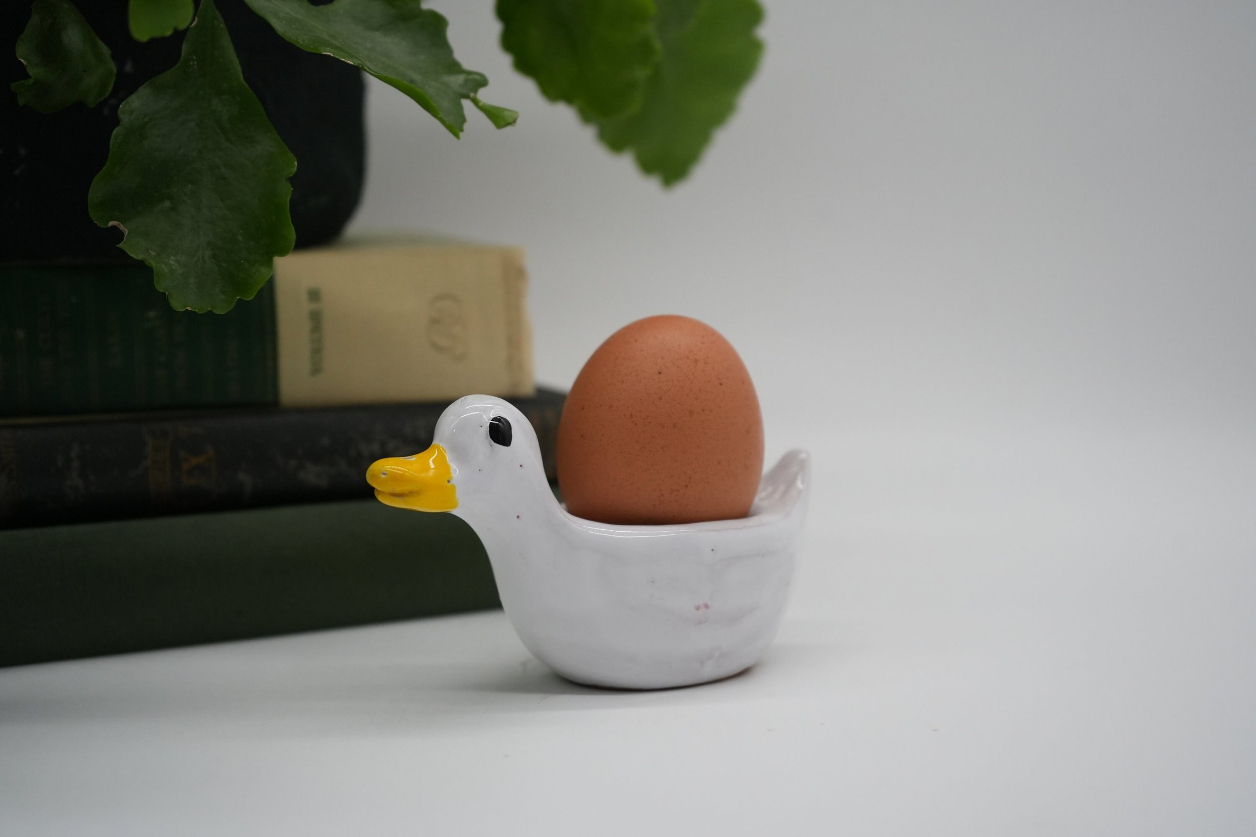 https://i.etsystatic.com/37121269/r/il/d3aae8/5361549943/il_fullxfull.5361549943_pjzj.jpg