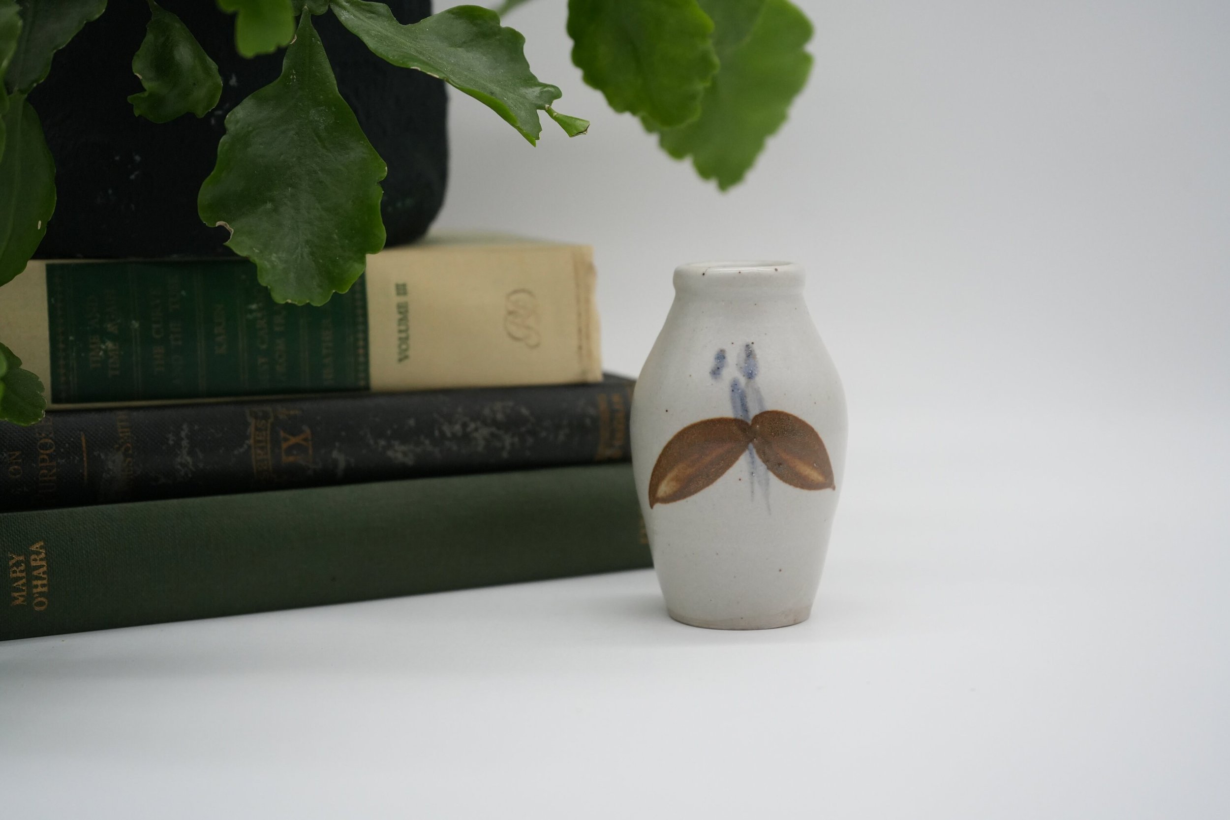 https://i.etsystatic.com/37121269/r/il/f2a6fd/5361585899/il_fullxfull.5361585899_tdfw.jpg