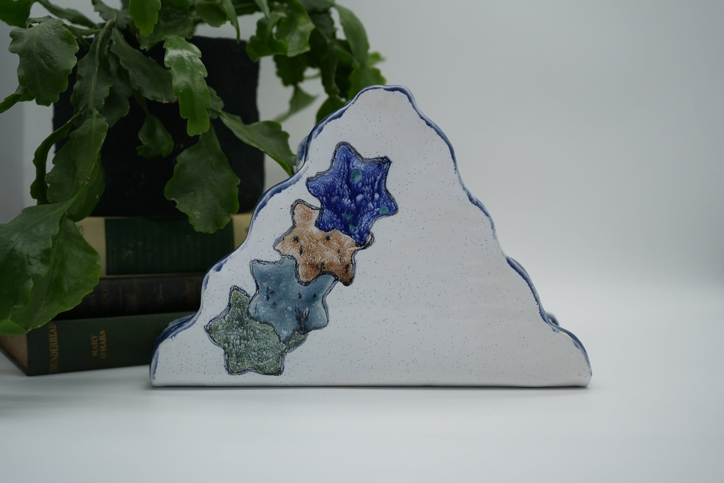https://i.etsystatic.com/37121269/r/il/0feb57/5353628765/il_fullxfull.5353628765_d0nt.jpg
