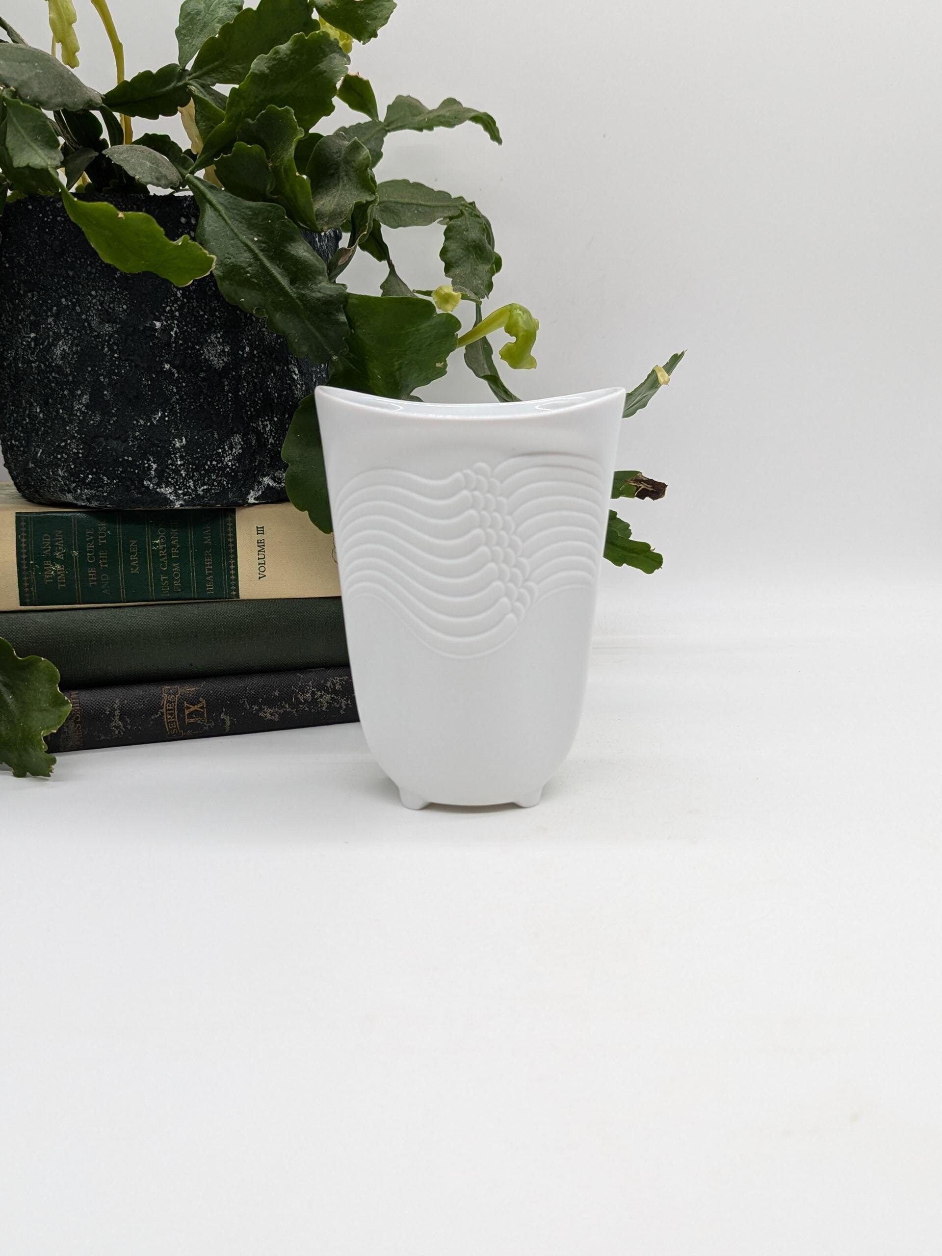 https://i.etsystatic.com/37121269/r/il/0c7d1a/6287227834/il_fullxfull.6287227834_3edn.jpg