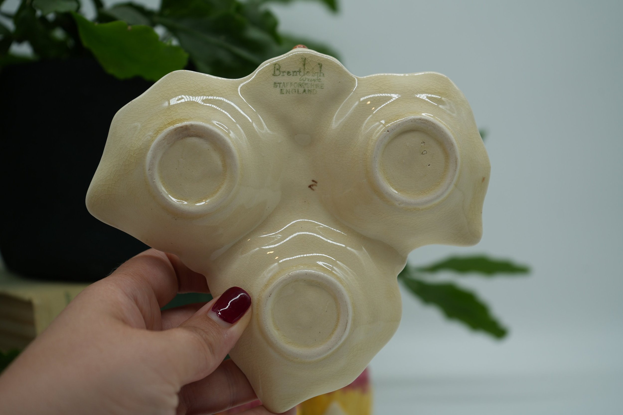https://i.etsystatic.com/37121269/r/il/63b200/5676744206/il_fullxfull.5676744206_pqs6.jpg