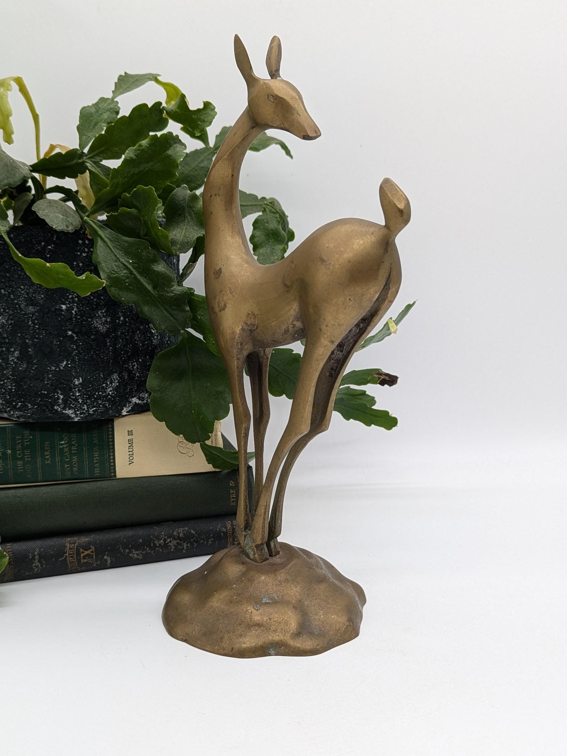https://i.etsystatic.com/37121269/r/il/ef4df2/6327221771/il_fullxfull.6327221771_hqrd.jpg