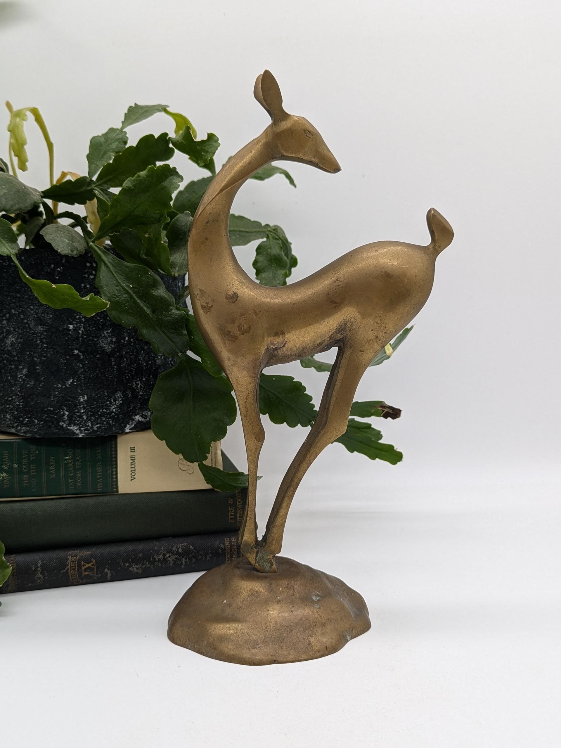 https://i.etsystatic.com/37121269/r/il/093f00/6279167480/il_fullxfull.6279167480_rmob.jpg