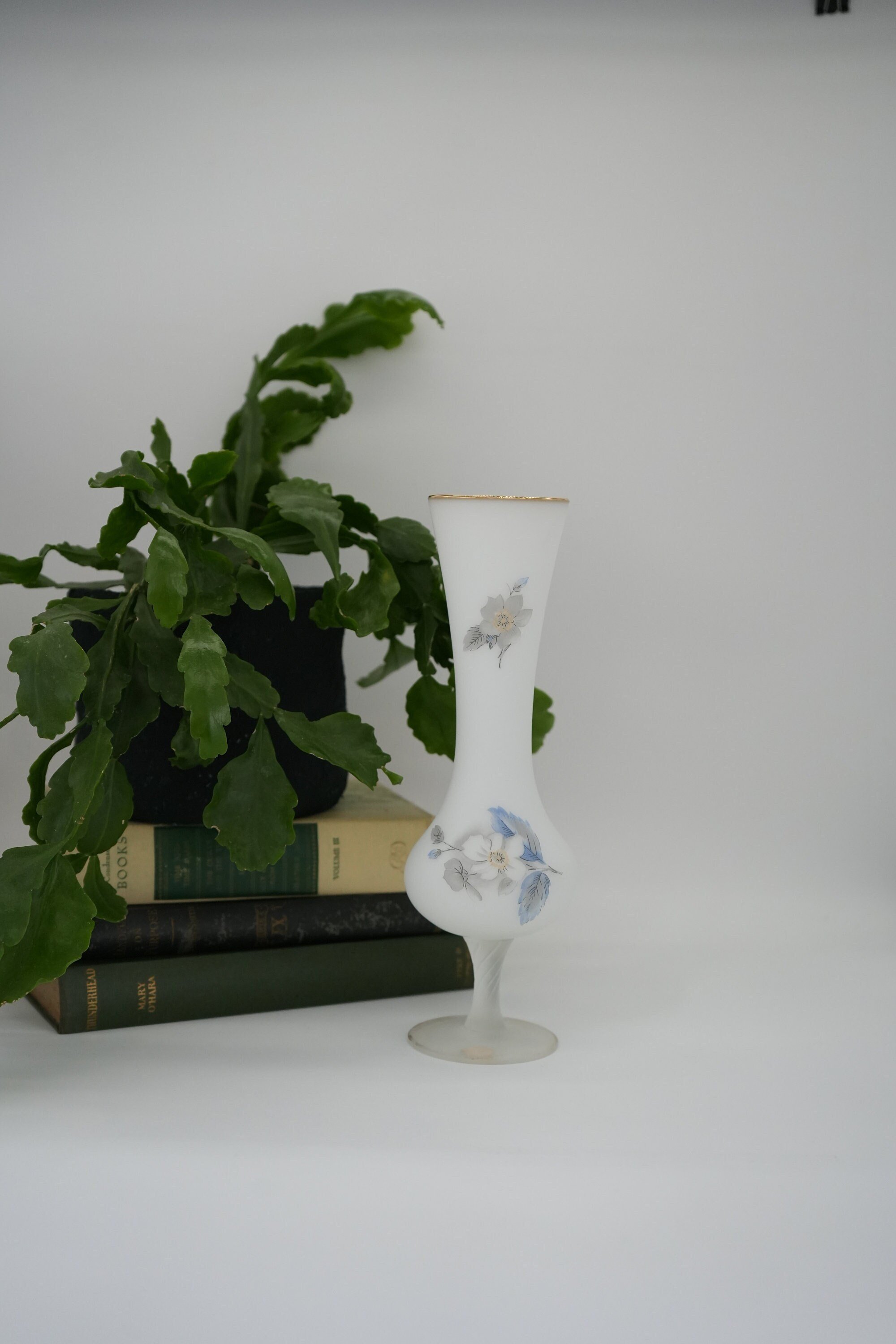 https://i.etsystatic.com/37121269/r/il/d0b428/5275056258/il_fullxfull.5275056258_qi85.jpg