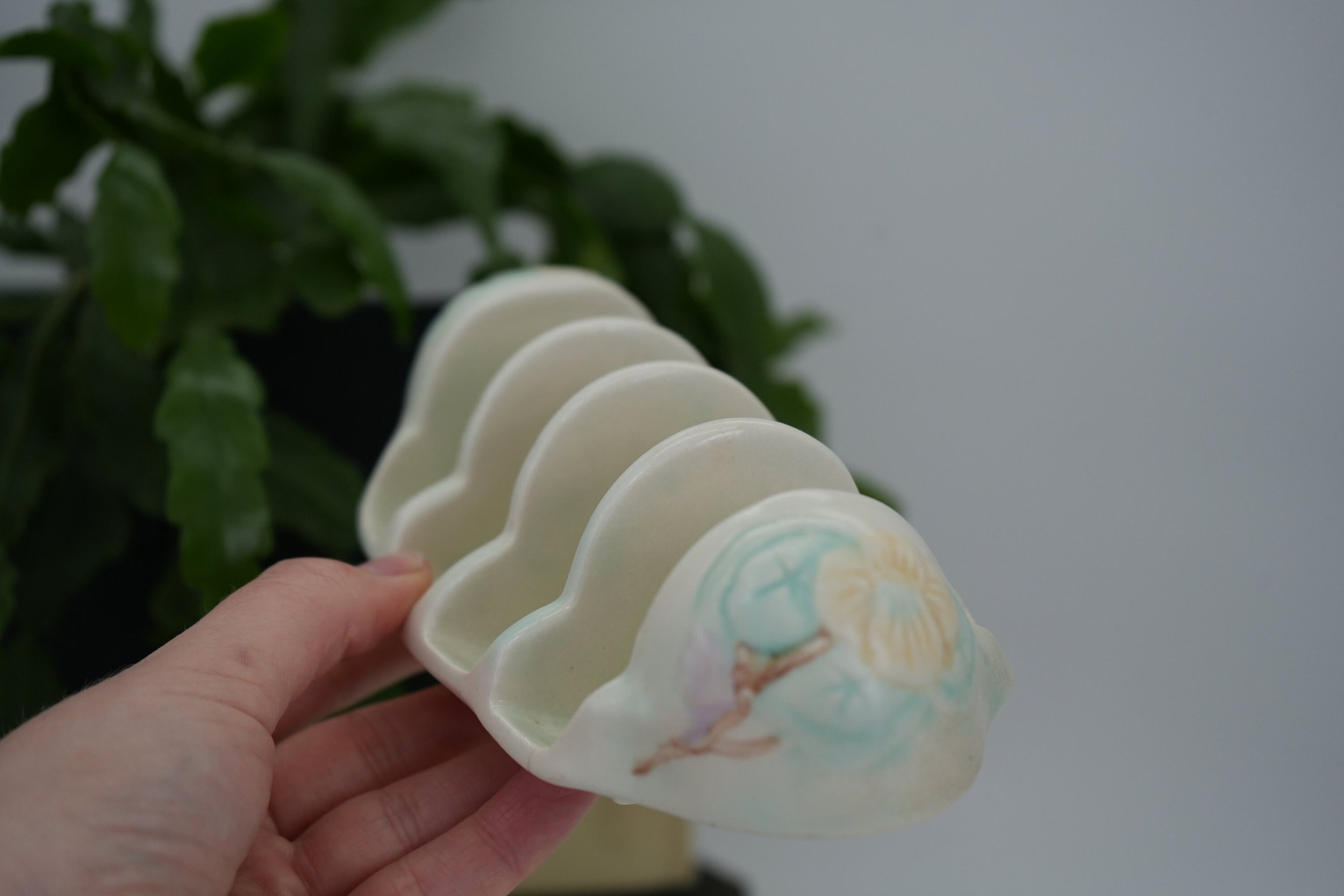 https://i.etsystatic.com/37121269/r/il/d9bc43/5264999024/il_fullxfull.5264999024_dx2x.jpg