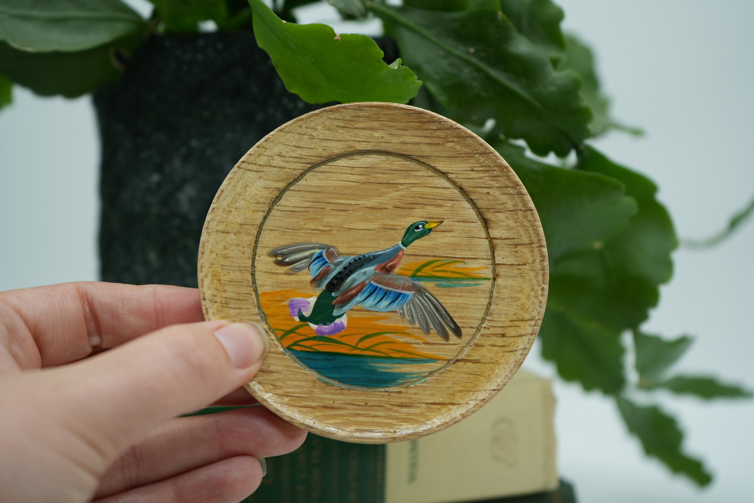 https://i.etsystatic.com/37121269/r/il/2c7d65/5953769214/il_fullxfull.5953769214_i46a.jpg