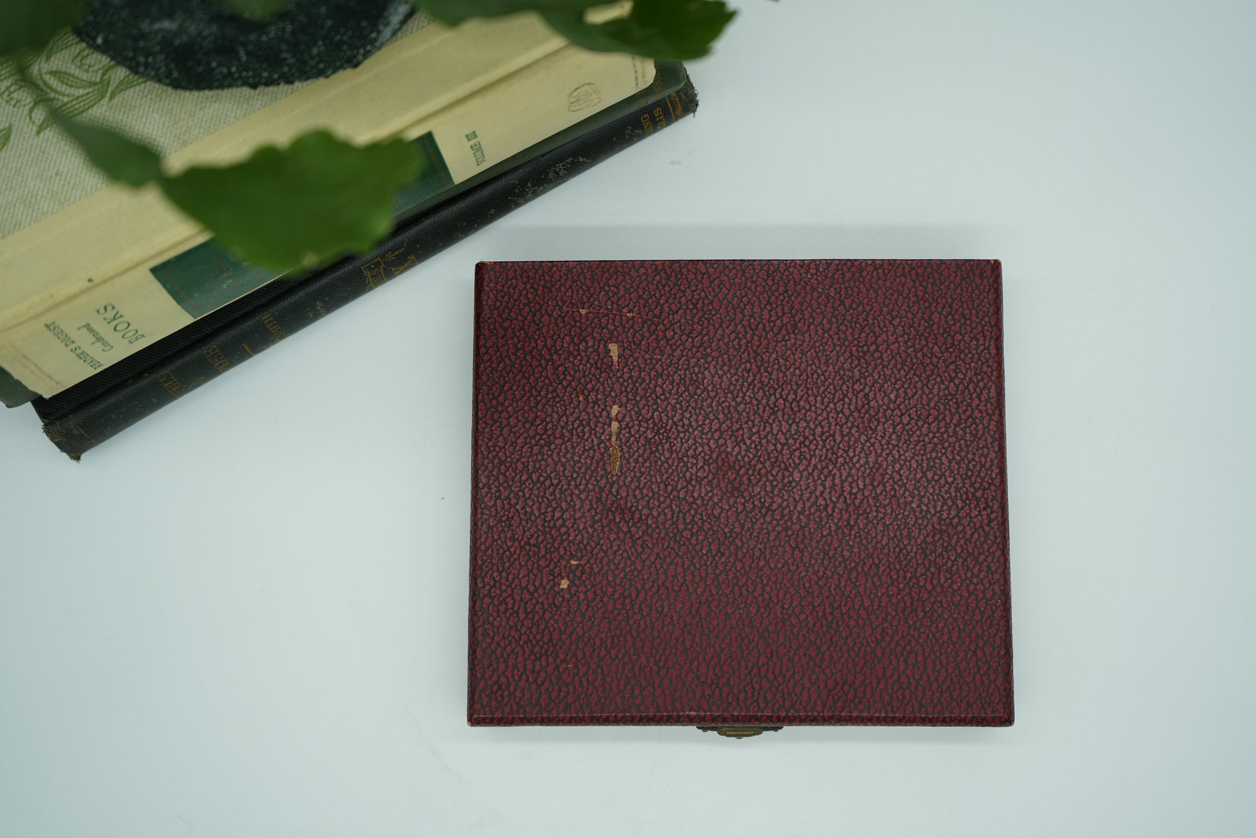 https://i.etsystatic.com/37121269/r/il/f52b5b/5953727216/il_fullxfull.5953727216_3h0e.jpg