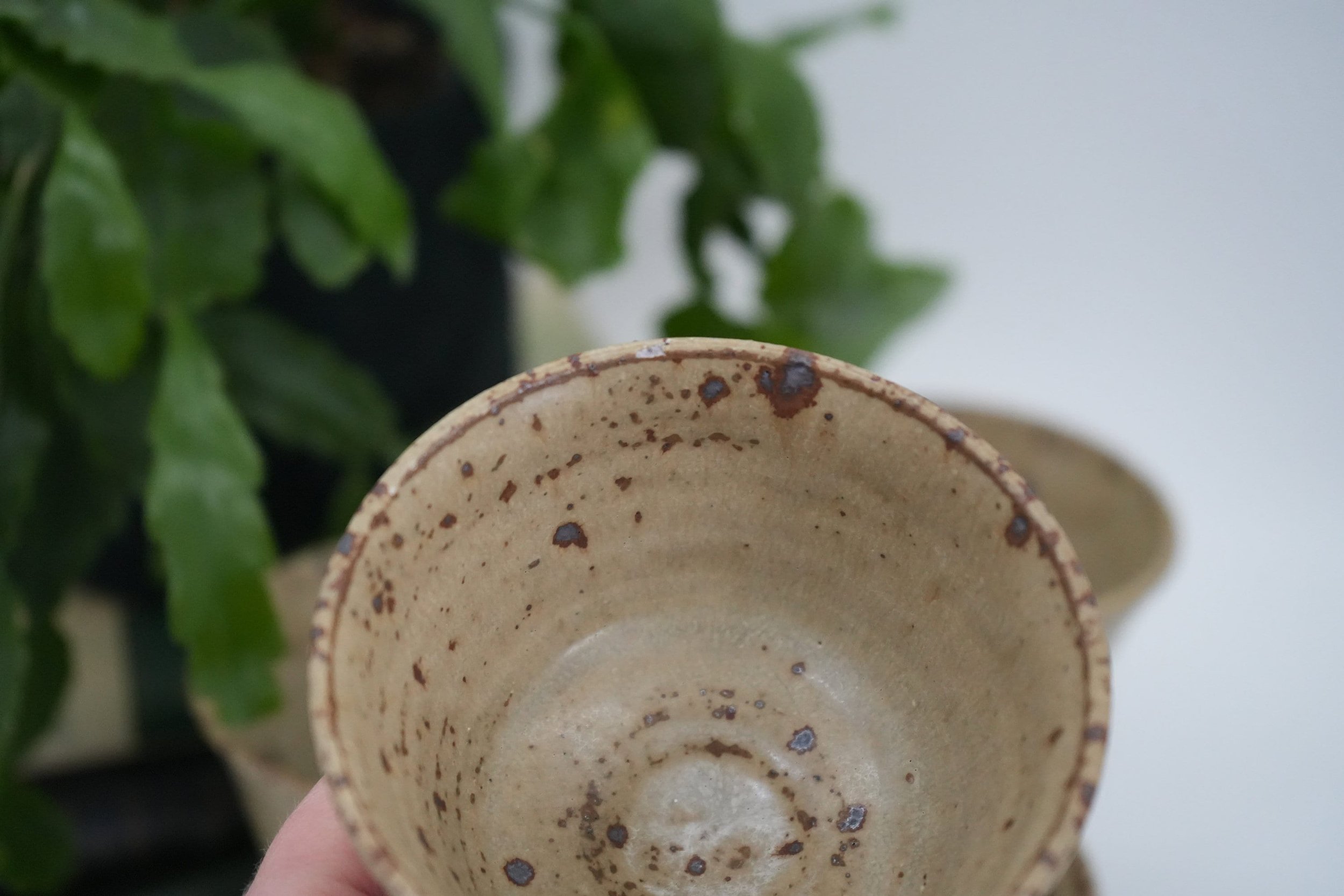 https://i.etsystatic.com/37121269/r/il/fcf6de/5221344246/il_fullxfull.5221344246_ebw3.jpg