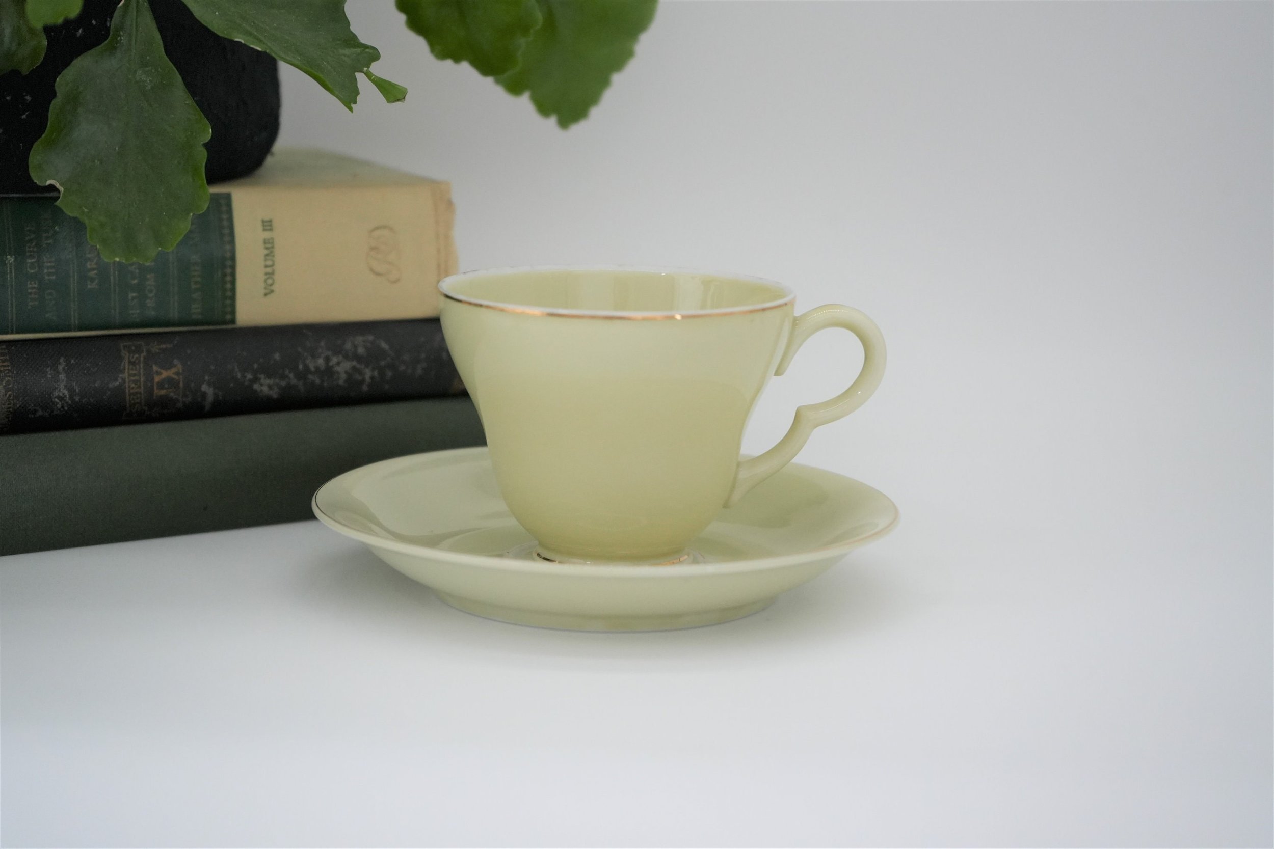 https://i.etsystatic.com/37121269/r/il/d088b3/5269571763/il_fullxfull.5269571763_h4ww.jpg