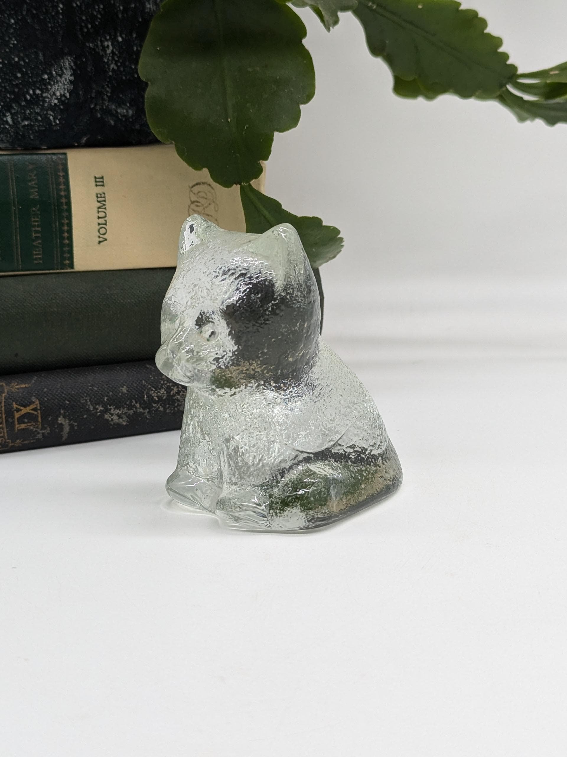 https://i.etsystatic.com/37121269/r/il/641211/6223883586/il_fullxfull.6223883586_dm0j.jpg