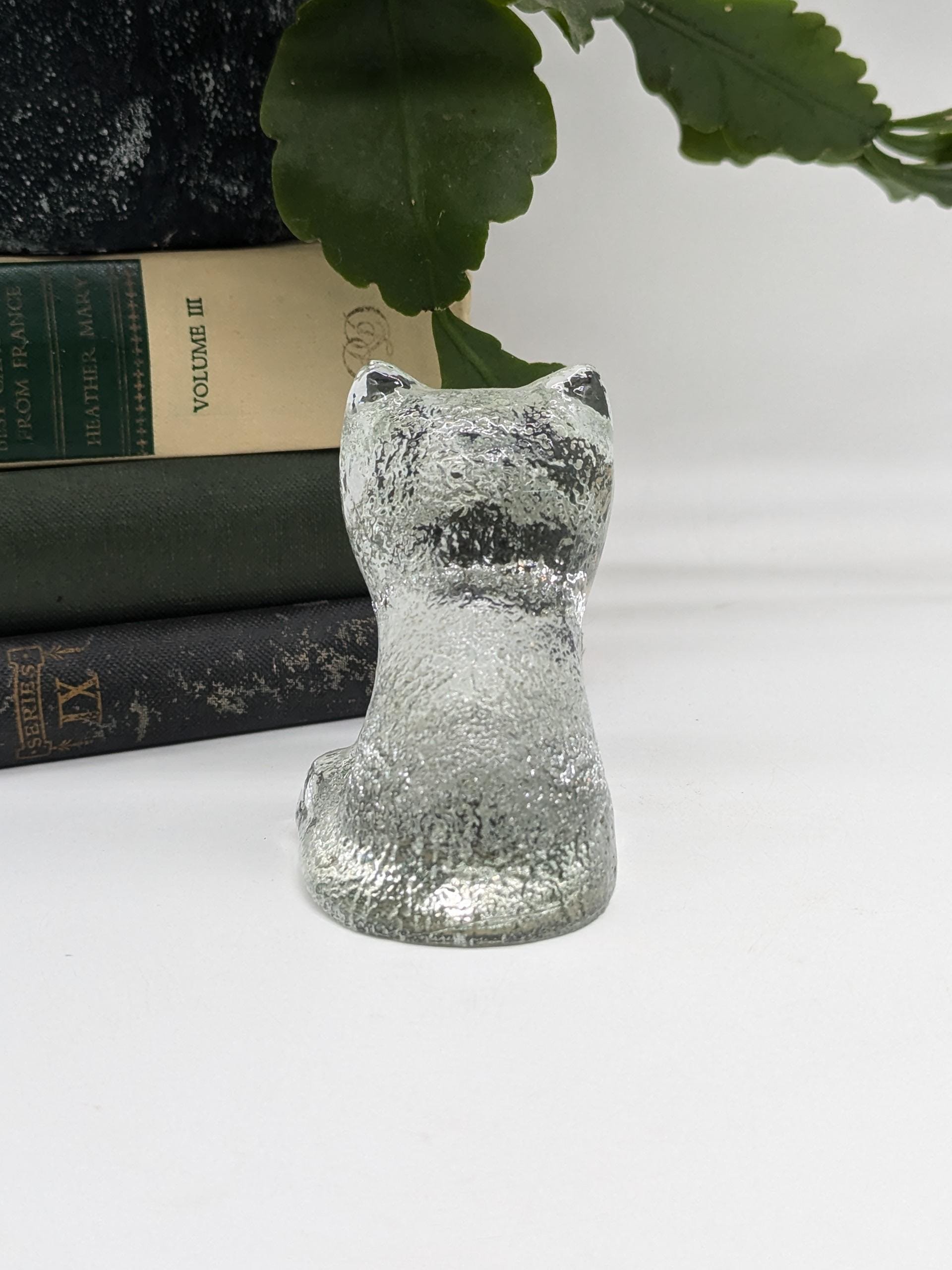 https://i.etsystatic.com/37121269/r/il/98bddc/6223883480/il_fullxfull.6223883480_gthw.jpg