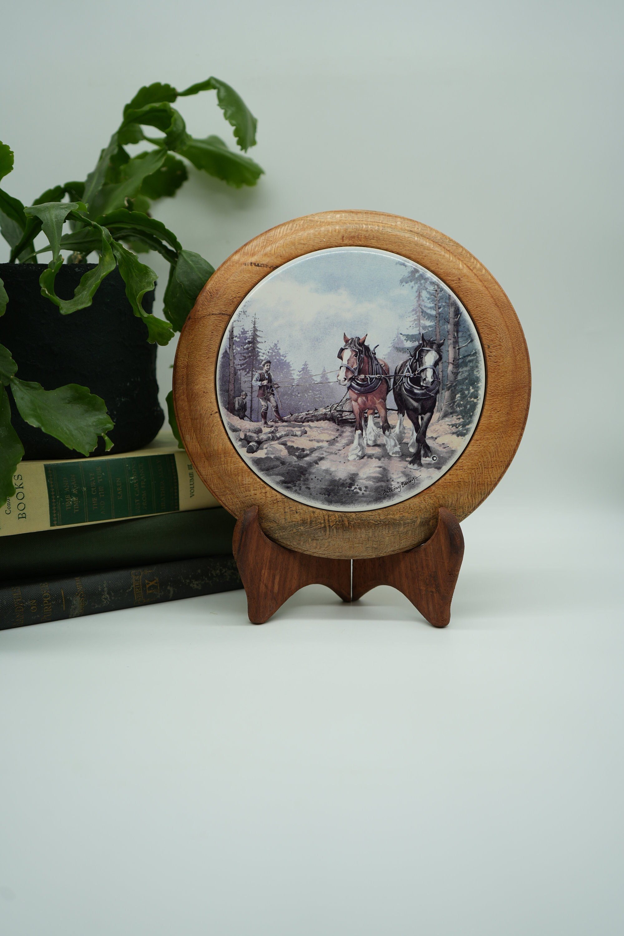 https://i.etsystatic.com/37121269/r/il/55186a/5637198873/il_fullxfull.5637198873_5p4y.jpg