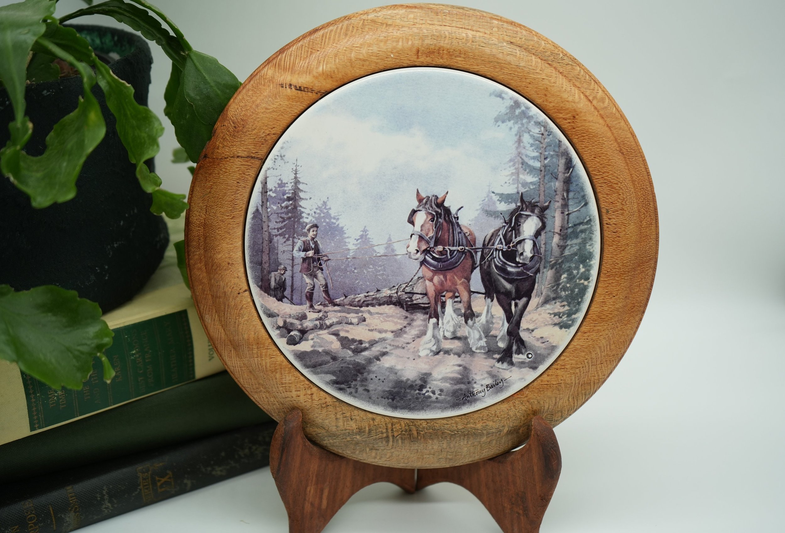 https://i.etsystatic.com/37121269/r/il/52b7cc/5637180433/il_fullxfull.5637180433_jubb.jpg